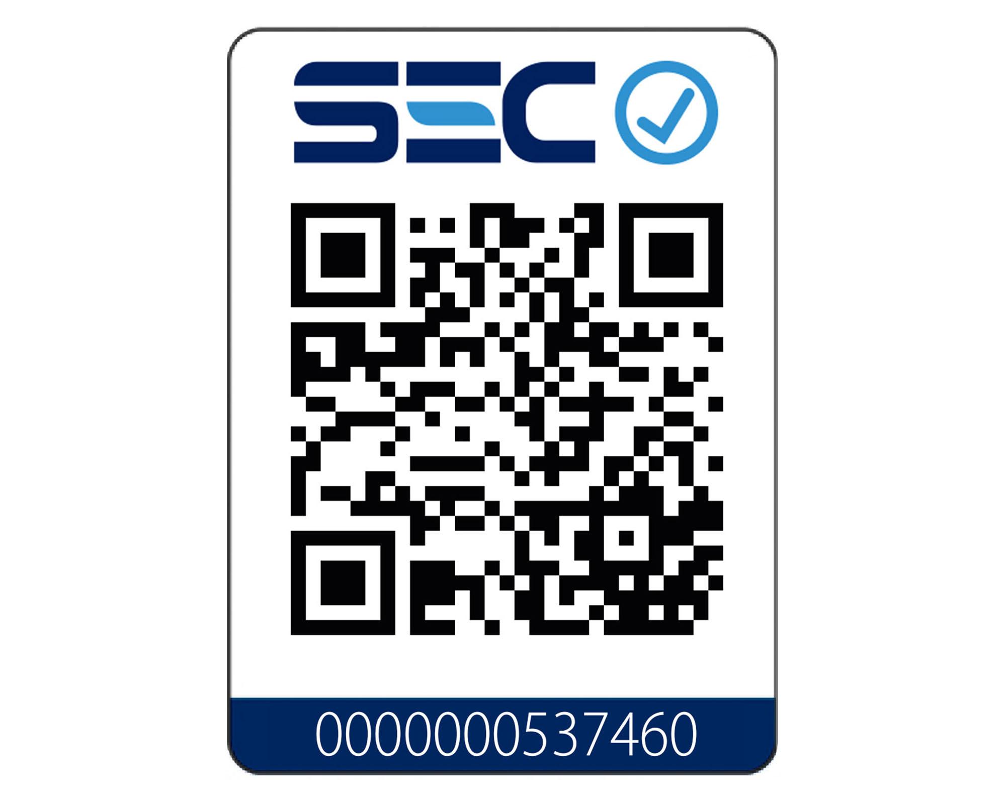 Estufa a leña Puelche 600 charcoal 16 kW-4