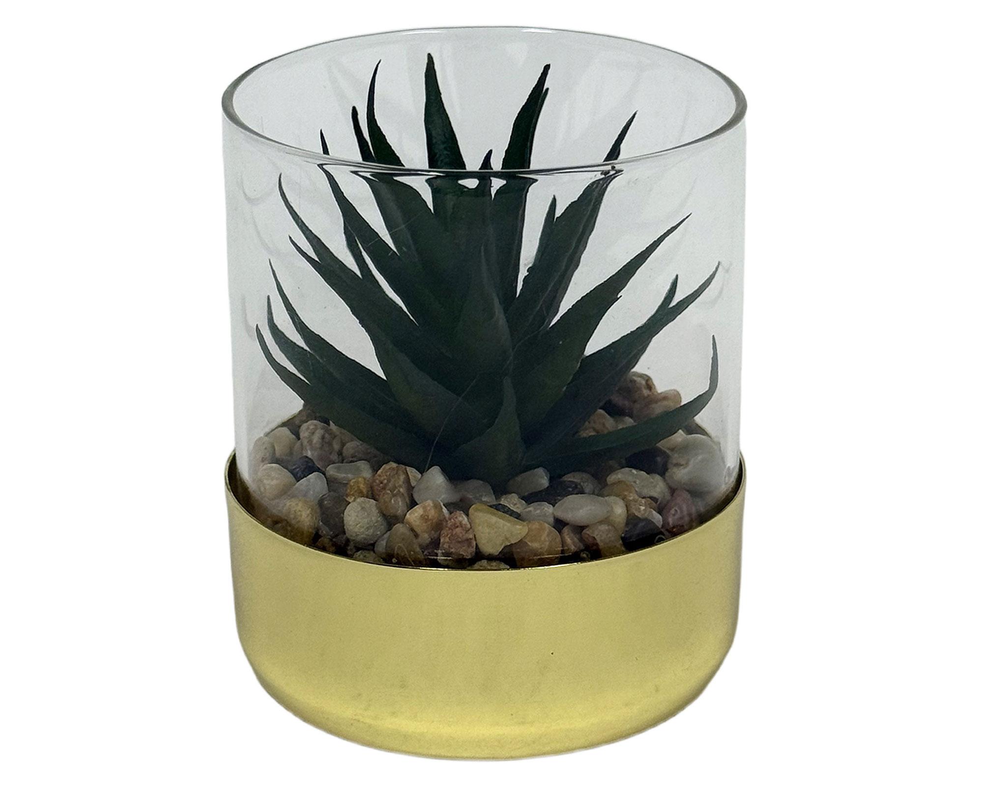 Suculenta Suculenta en vidrio 7.5 cm-0