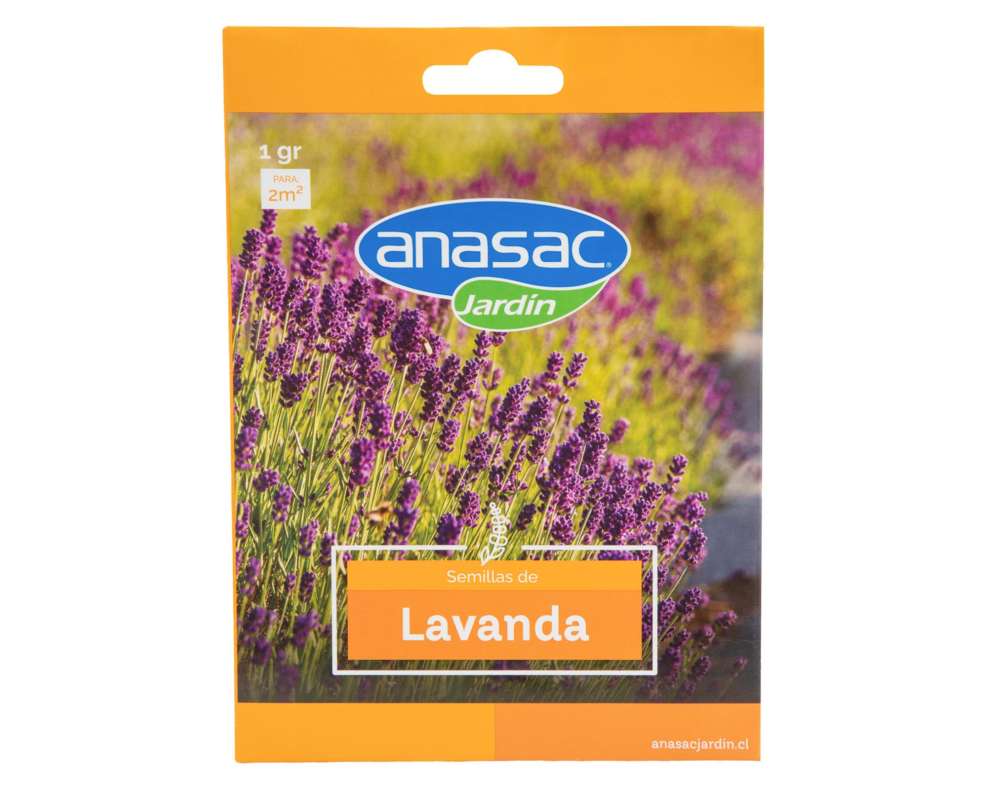 Semilla flor Lavanda 1g-0