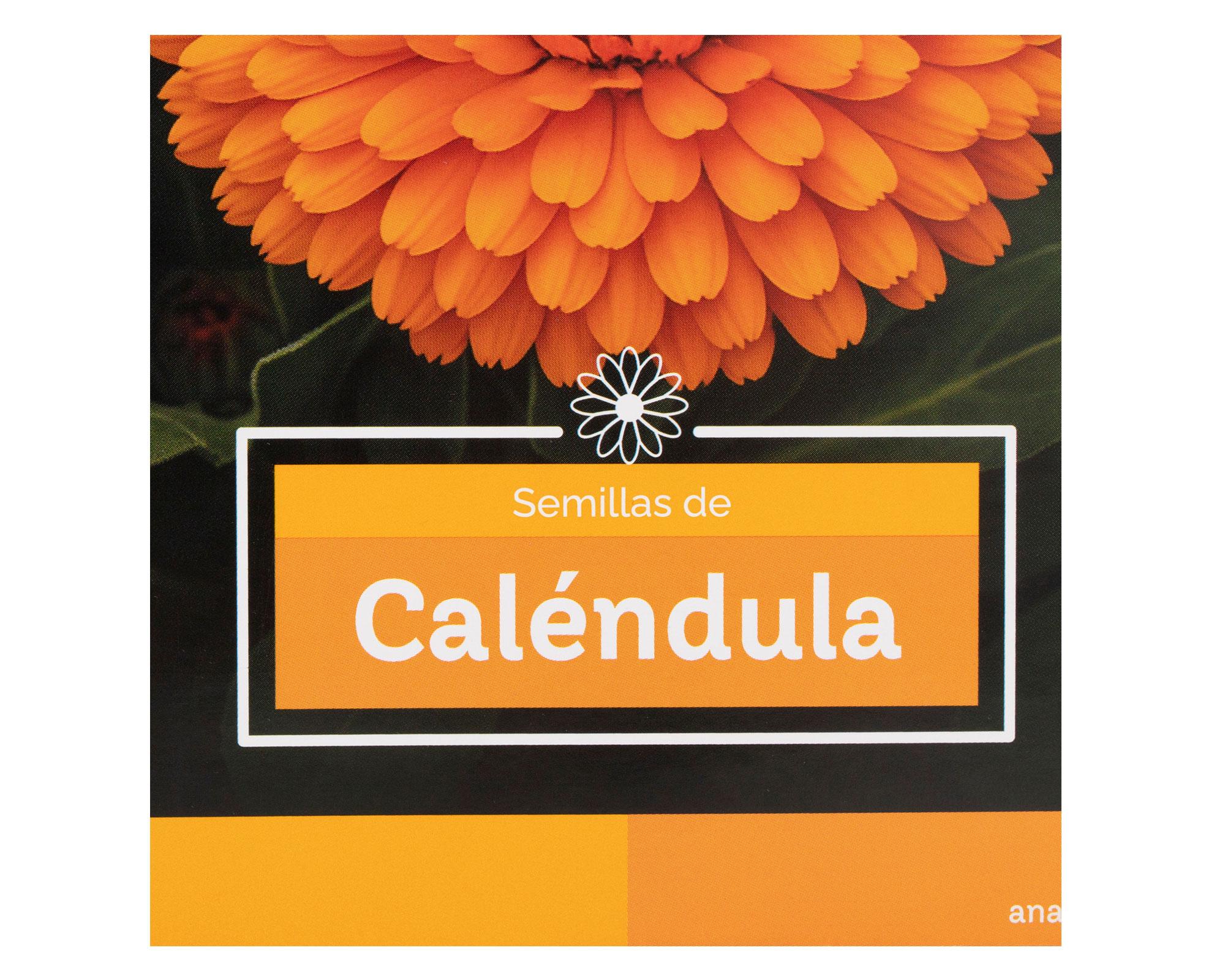Semilla de flor Caléndula 1 g-2