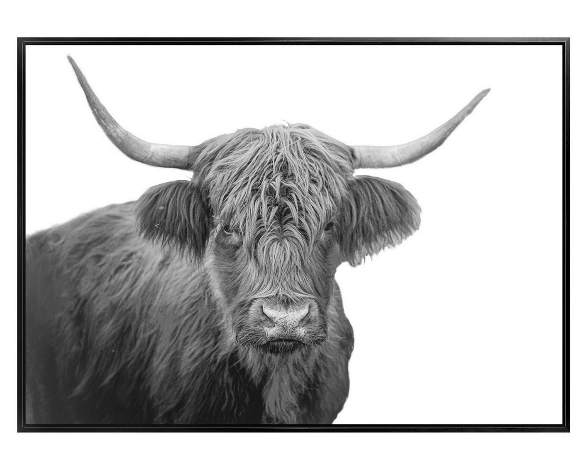 Canvas con marco toro R3 50x70 cm-0