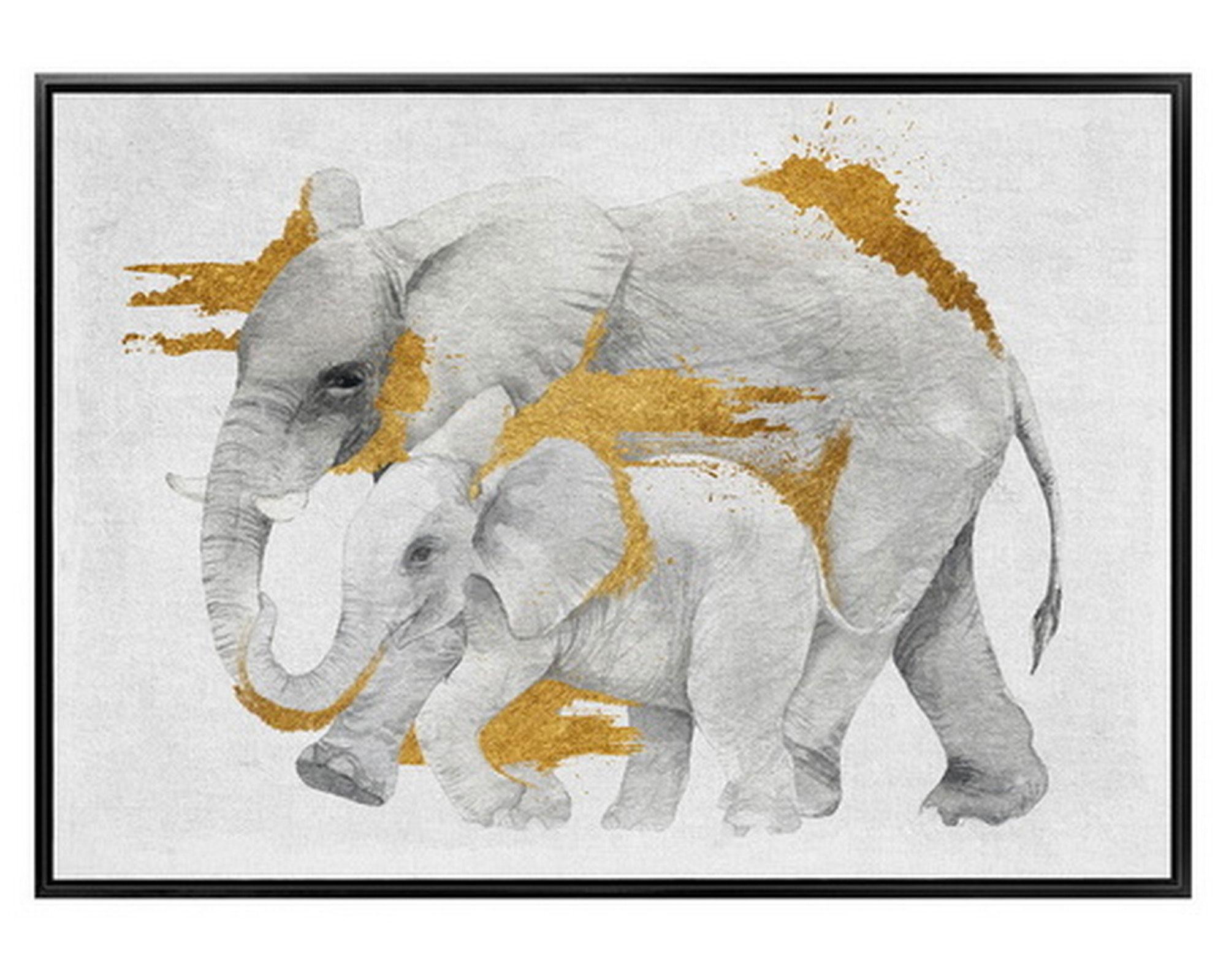 Canvas con marco elefantes folia 50x70 cm-0