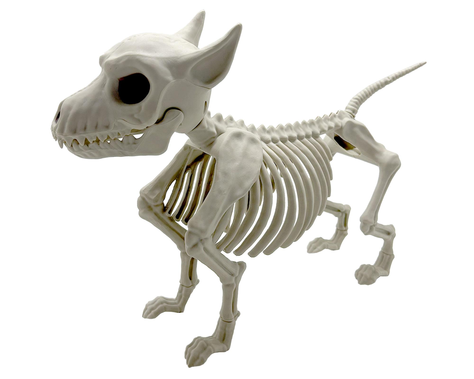 Esqueleto Perro Halloween-0