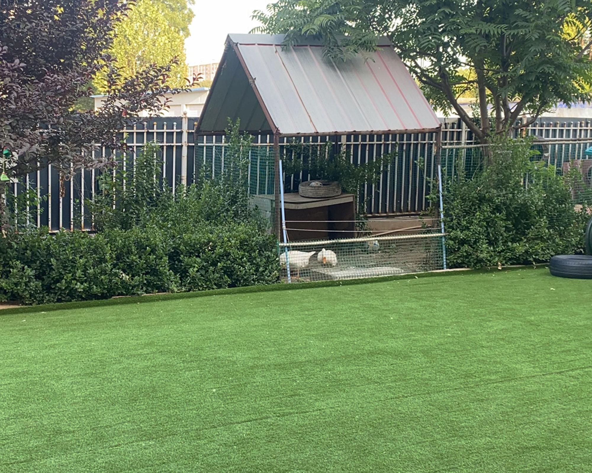 Pasto sintético 1800DTEX eco 2x5 m 10mm-5