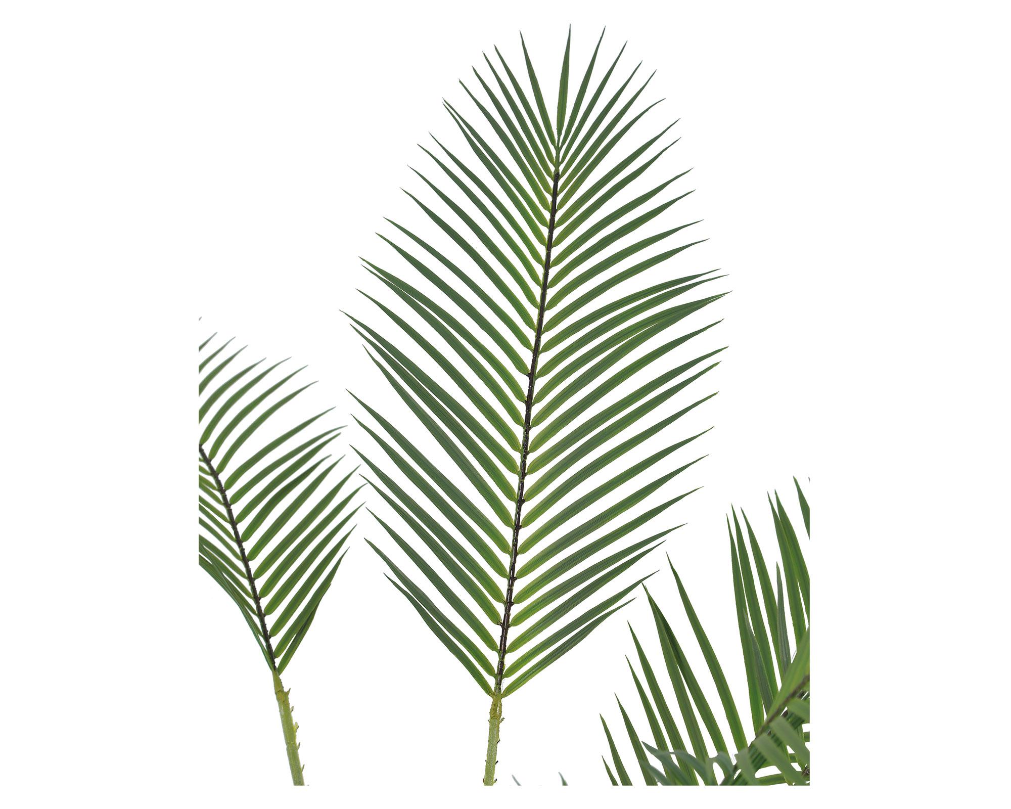 Planta artificial Palma 100x70x120 cm-2