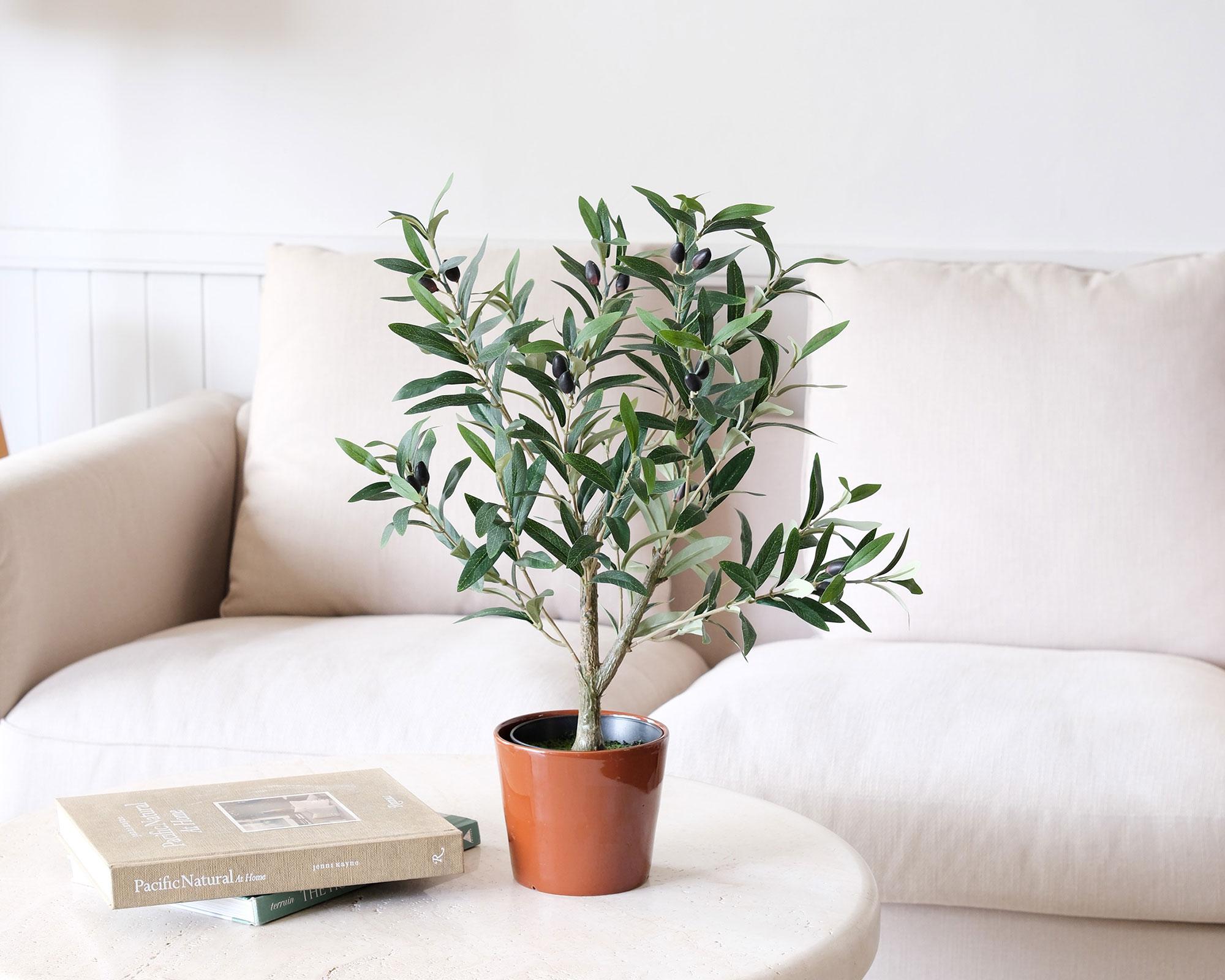 Planta artificial Olivo 67 cm-4