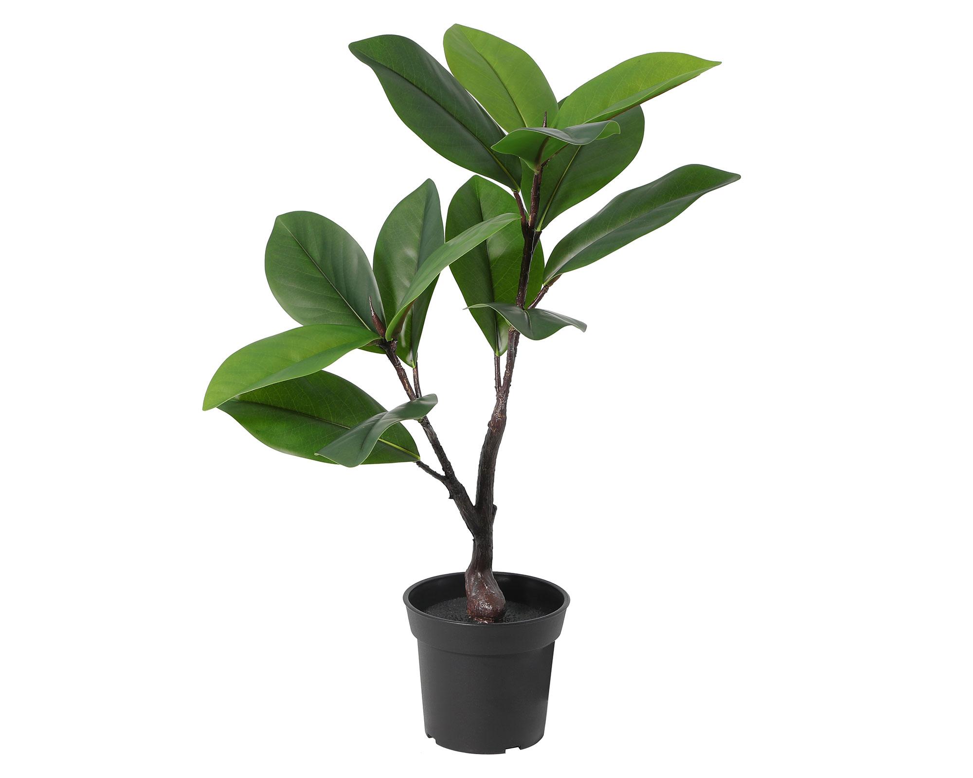 Planta artificial Ficus Variegata 65 cm-3