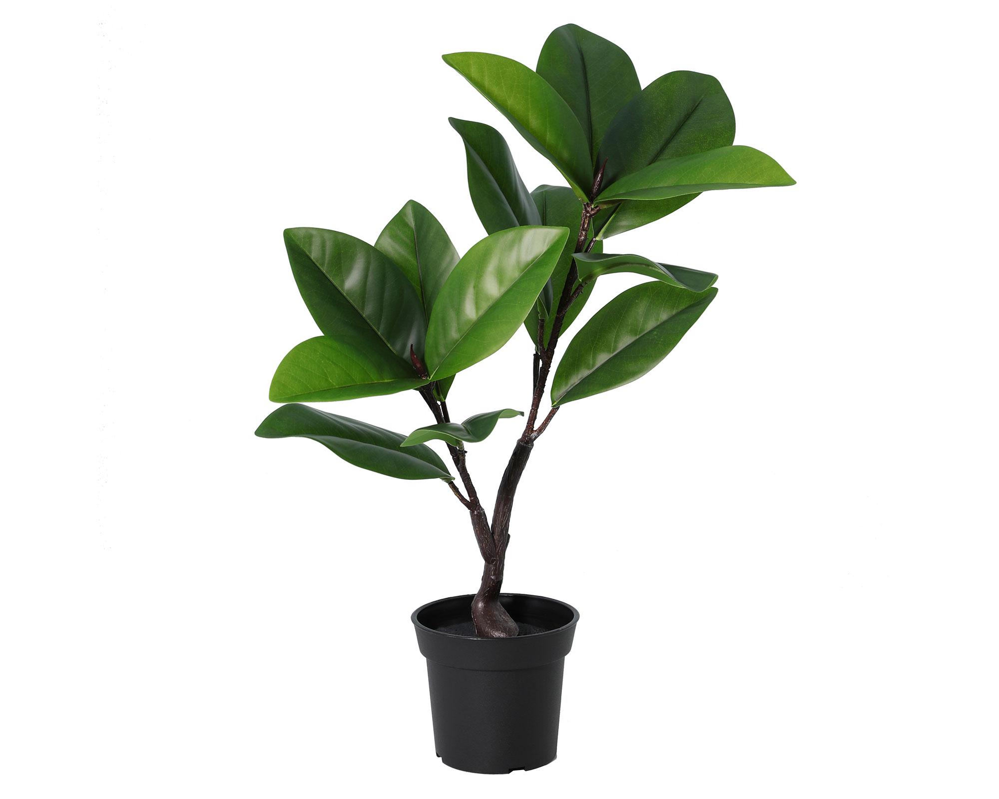 Planta artificial Ficus Variegata 65 cm-0