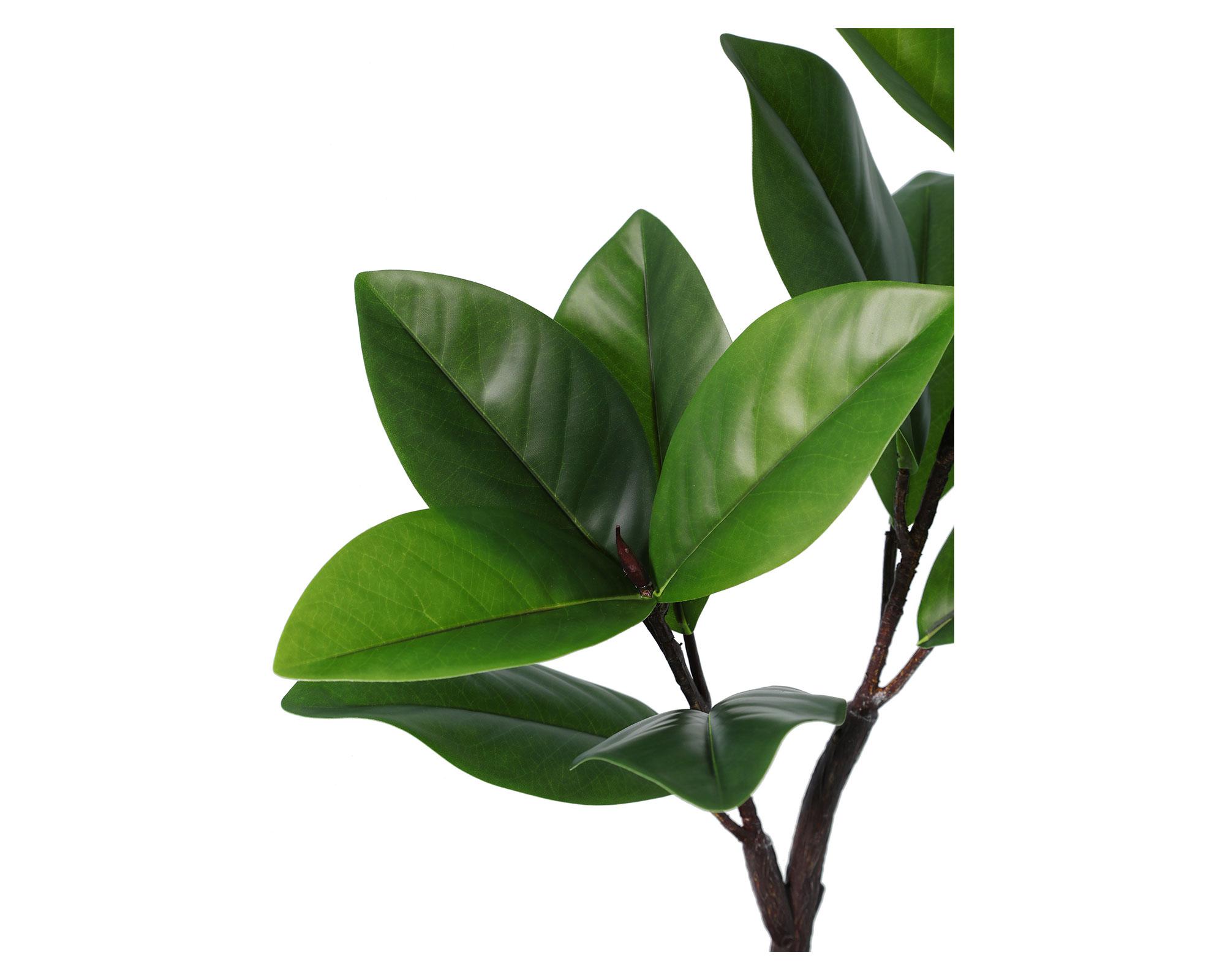 Planta artificial Ficus Variegata 65 cm-2