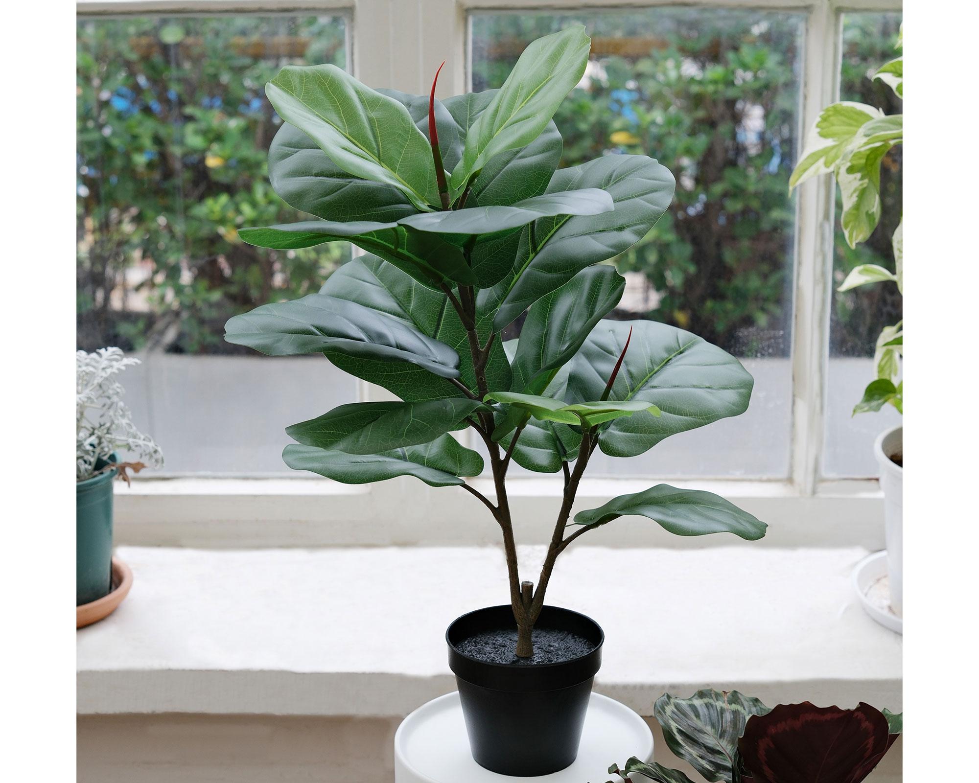 Planta artificial Ficus Lyrata 56 cm-4