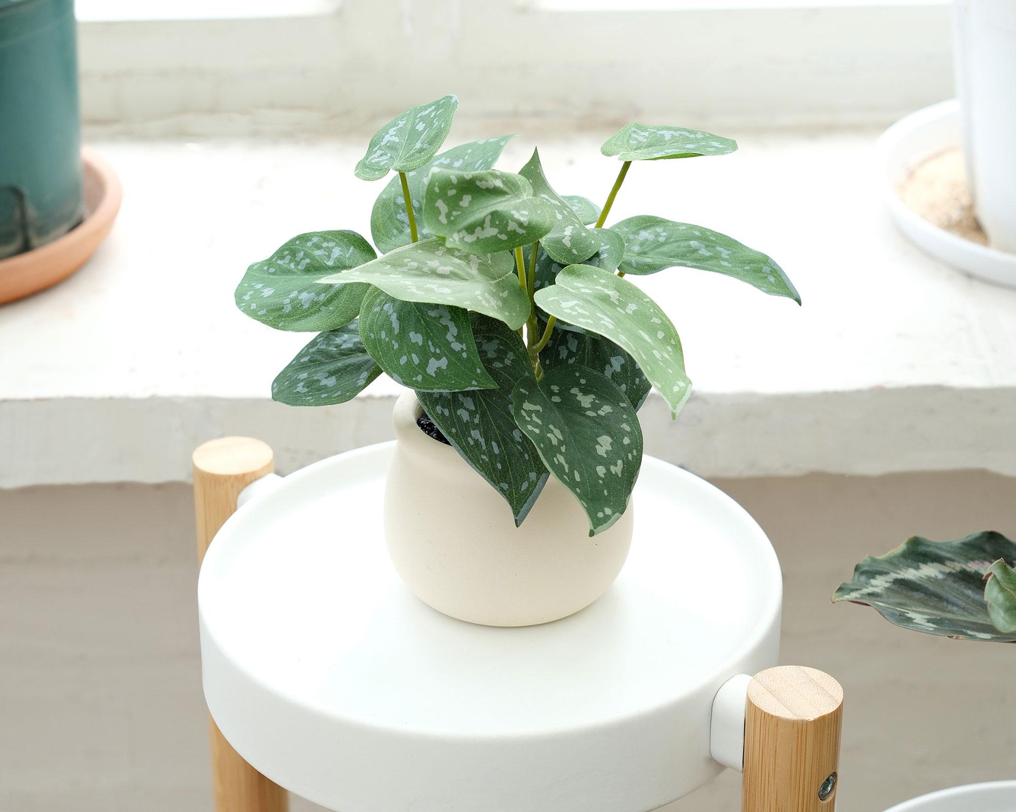 Planta artificial Parra plateada 18 cm-4