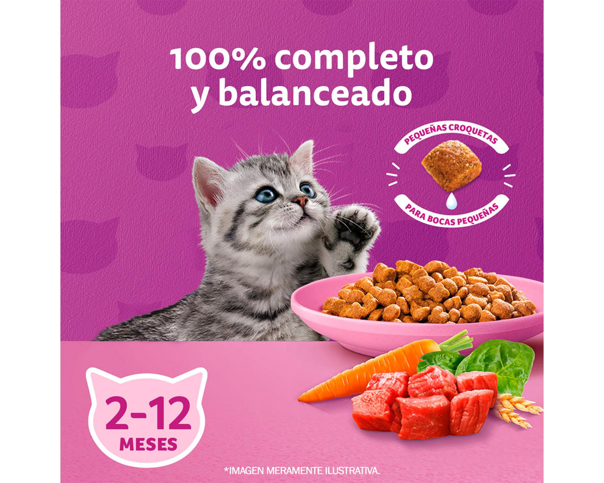 Alimento seco para gatos sabor carne y leche 3 kg-2