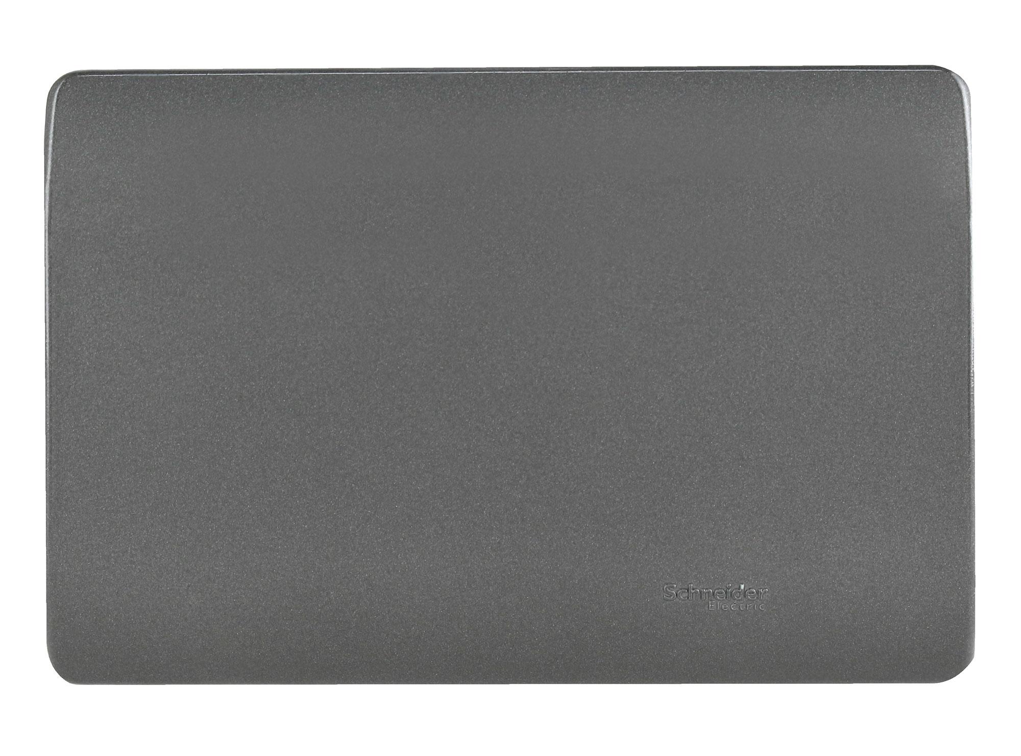 Placa ciega Génesis humo Schneider-0