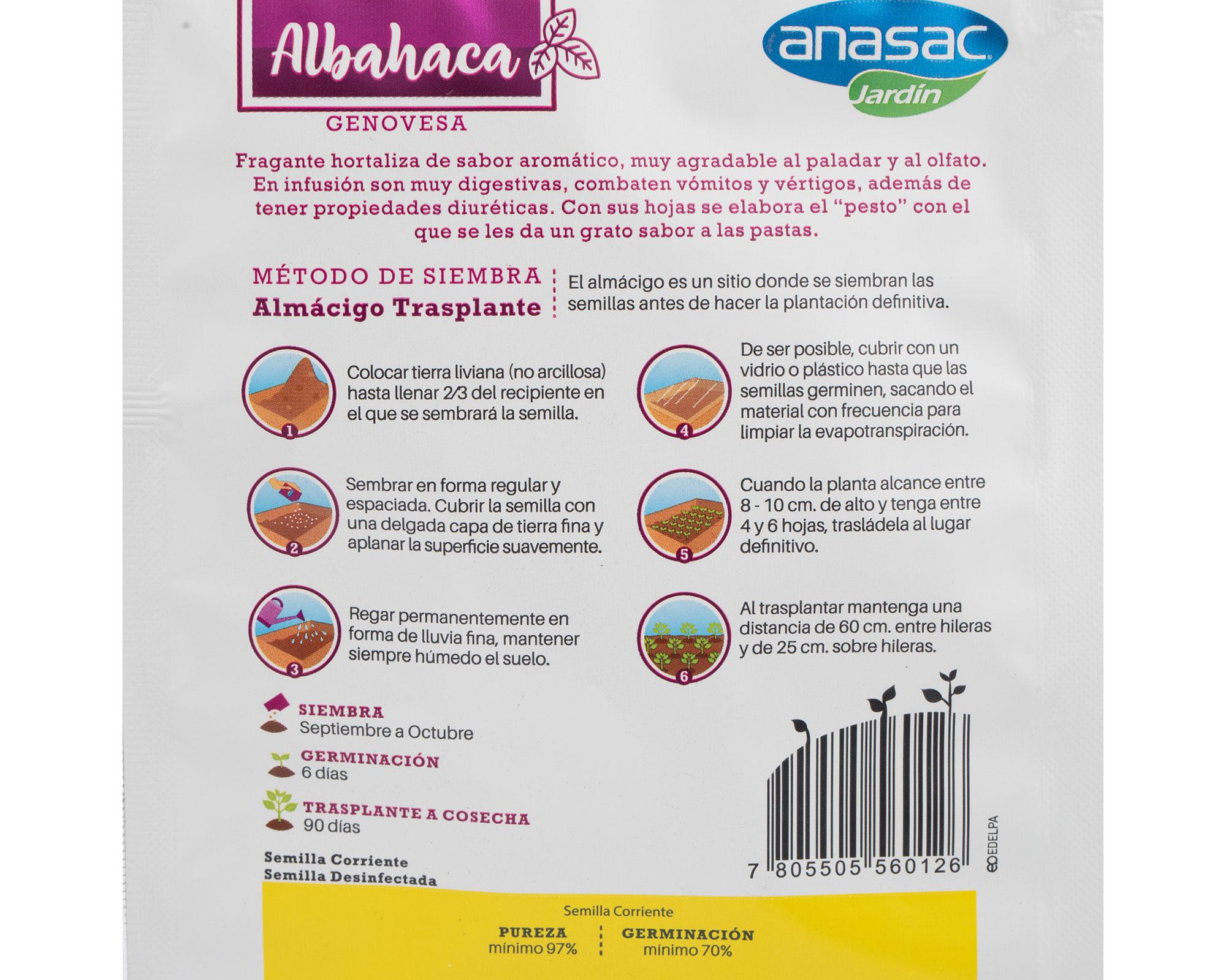 Semilla albahaca 5 gr Anasac-3