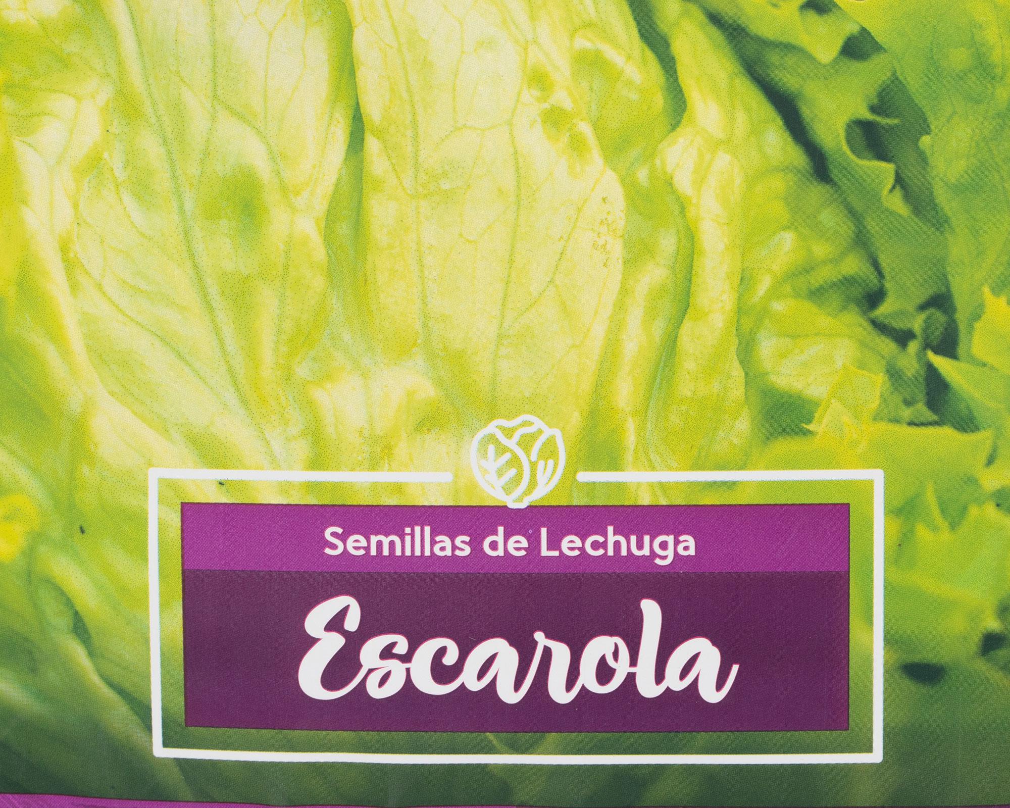 Semilla lechuga escarola 5 gr Anasac-2