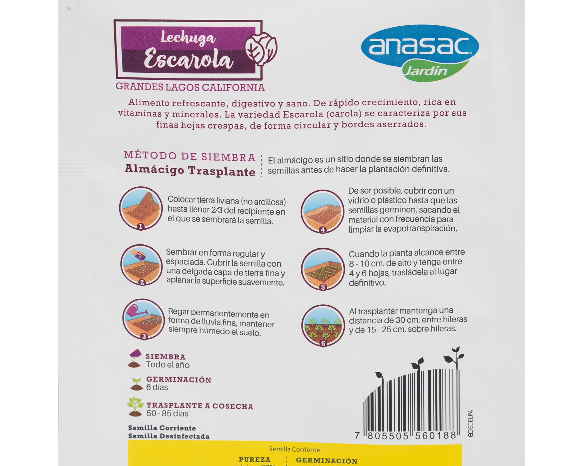 Semilla lechuga escarola 5 gr Anasac-3