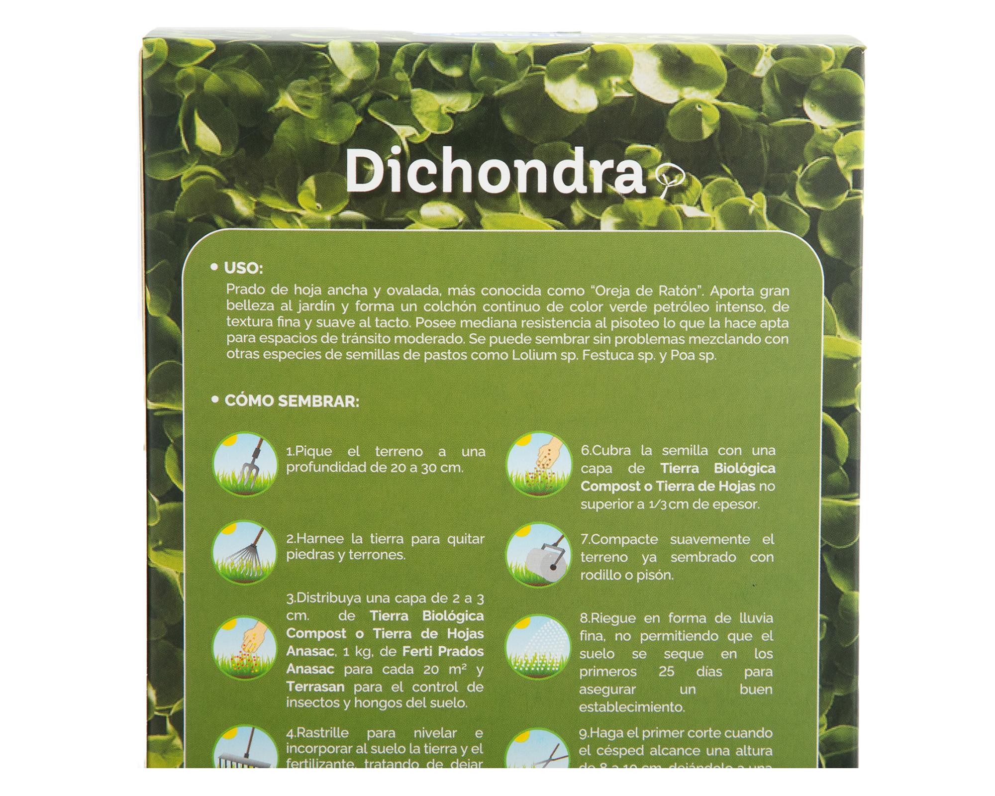 Semilla prado Dichondra 250 g-3