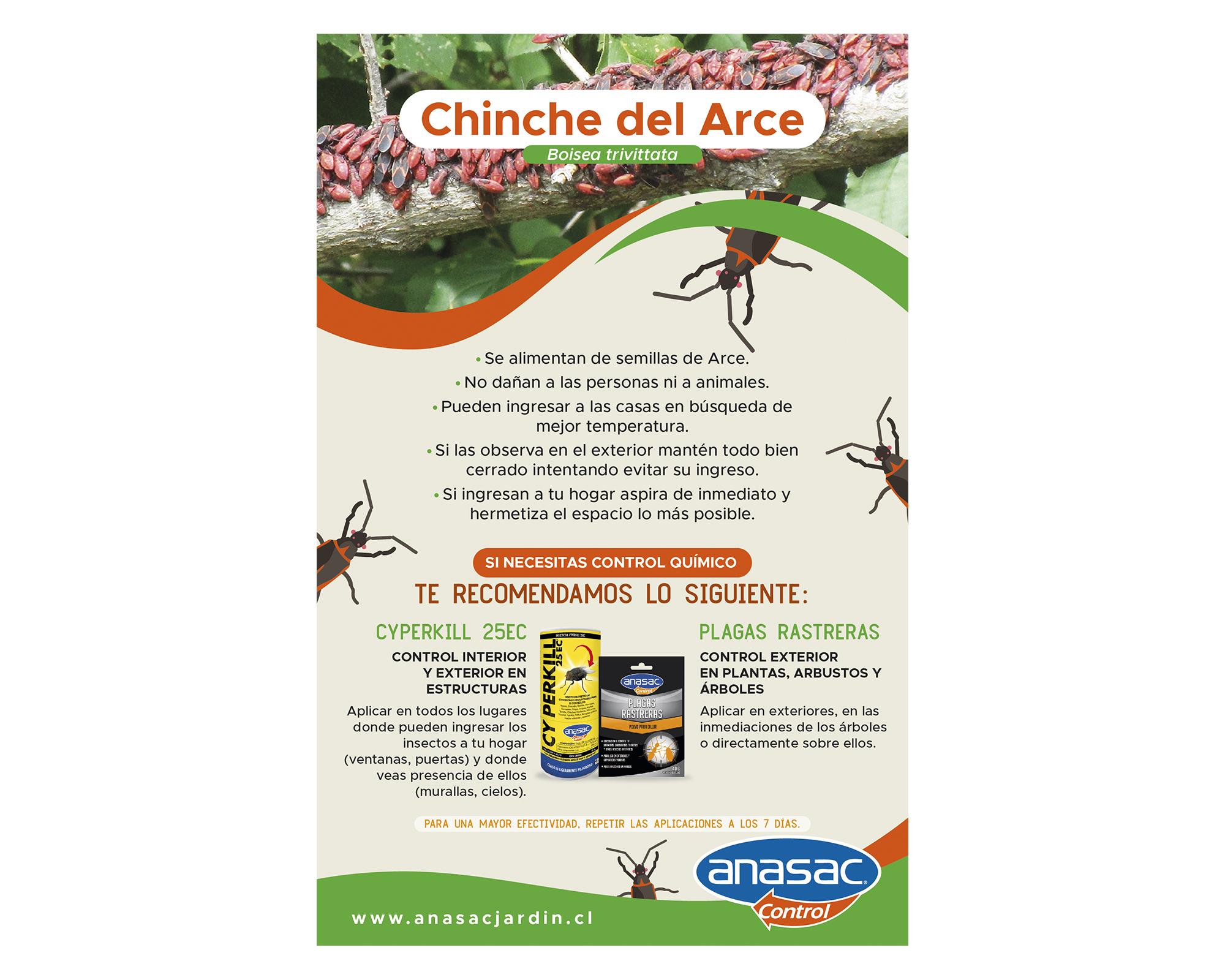 Insecticida plagas hogar 50 cc Cyperkill 25 EC-3