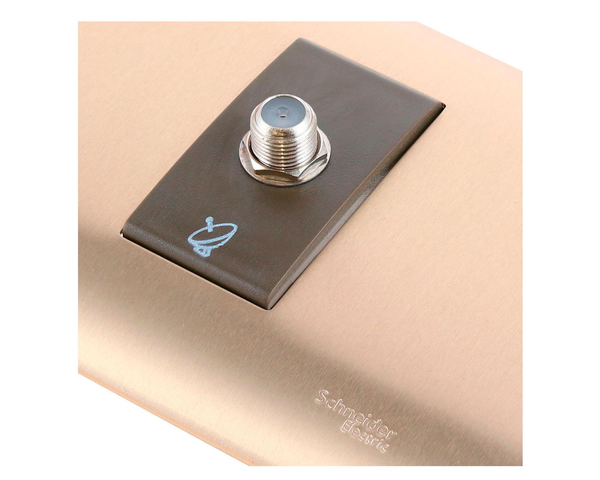 Toma vtr iridium bronceada Schneider-3