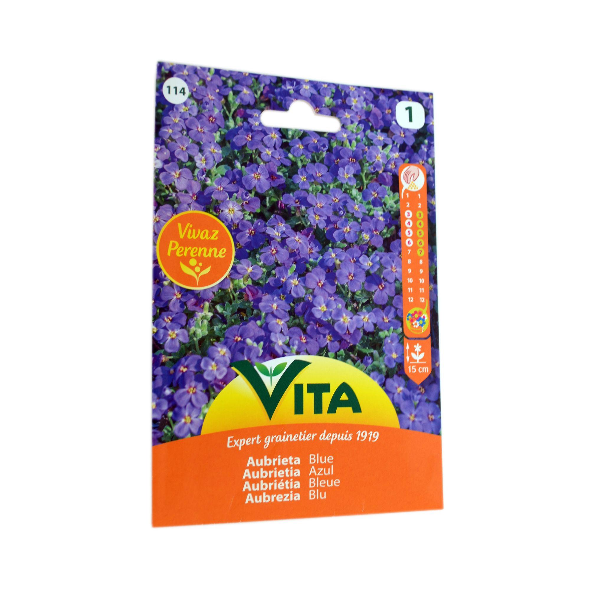 Semilla corriente aubrietia azul sin desinfectar x0.3g vita-1