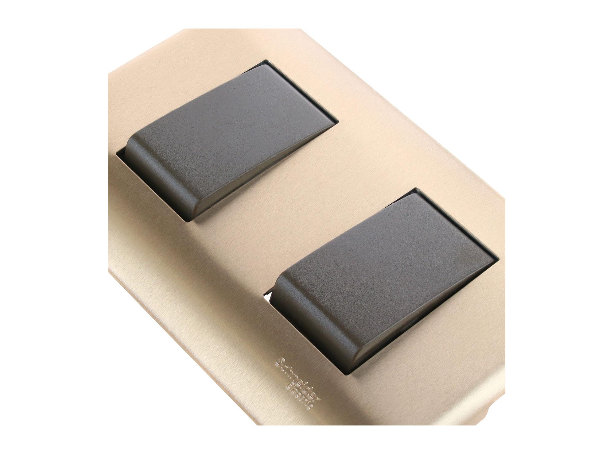 Placa armada interruptor doble iridium bronceada Schneider-3