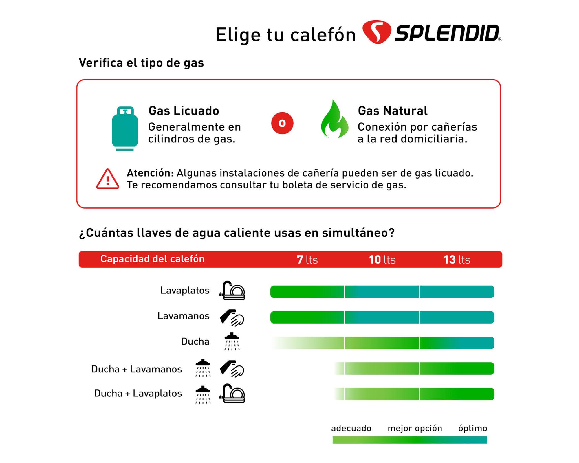 Calefont ionizado tiro forzado 13 litros gas licuado Master Splendid-3