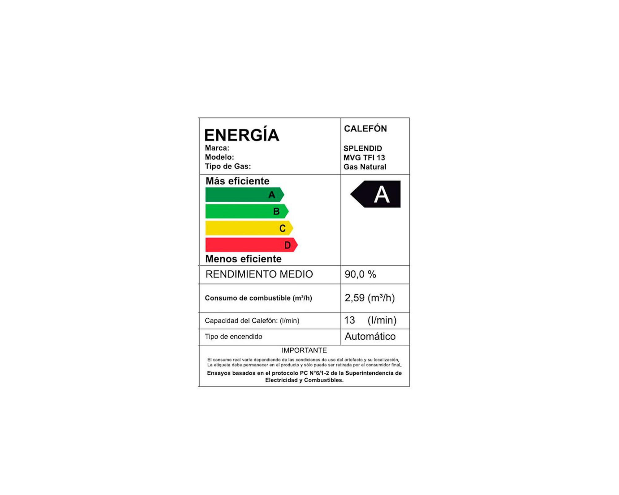 Calefont tiro forzado 13 litros gas natural Master Splendid-7