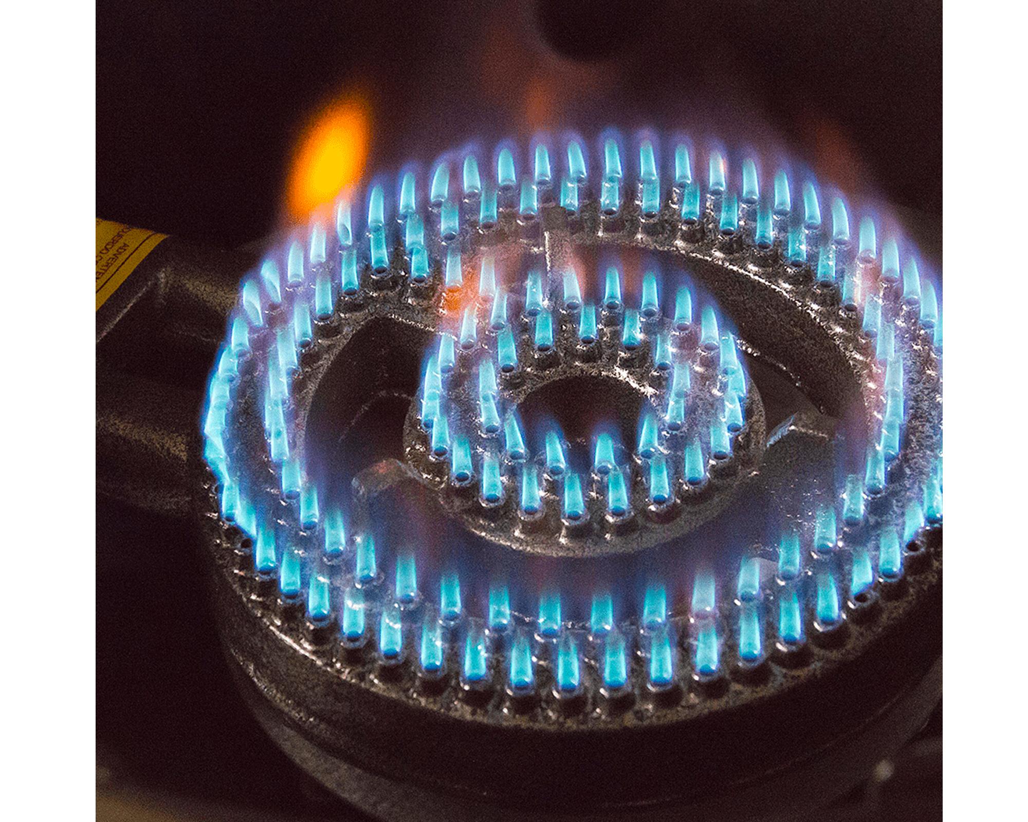 Disco a gas 1 quemador Gourmet Ursus Trotter-3