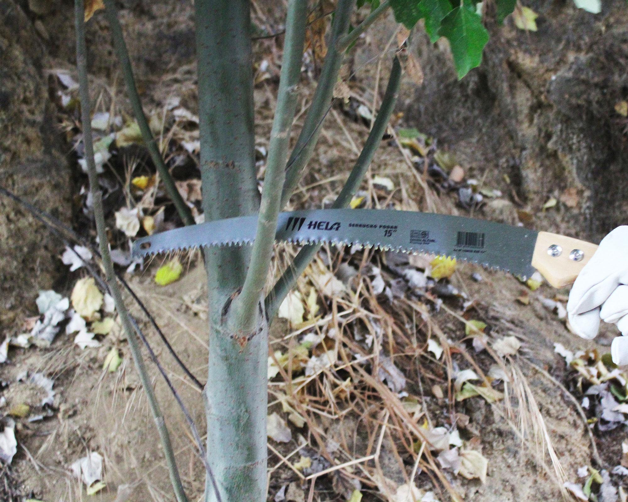 Serrucho para podar 15'' Hela-3