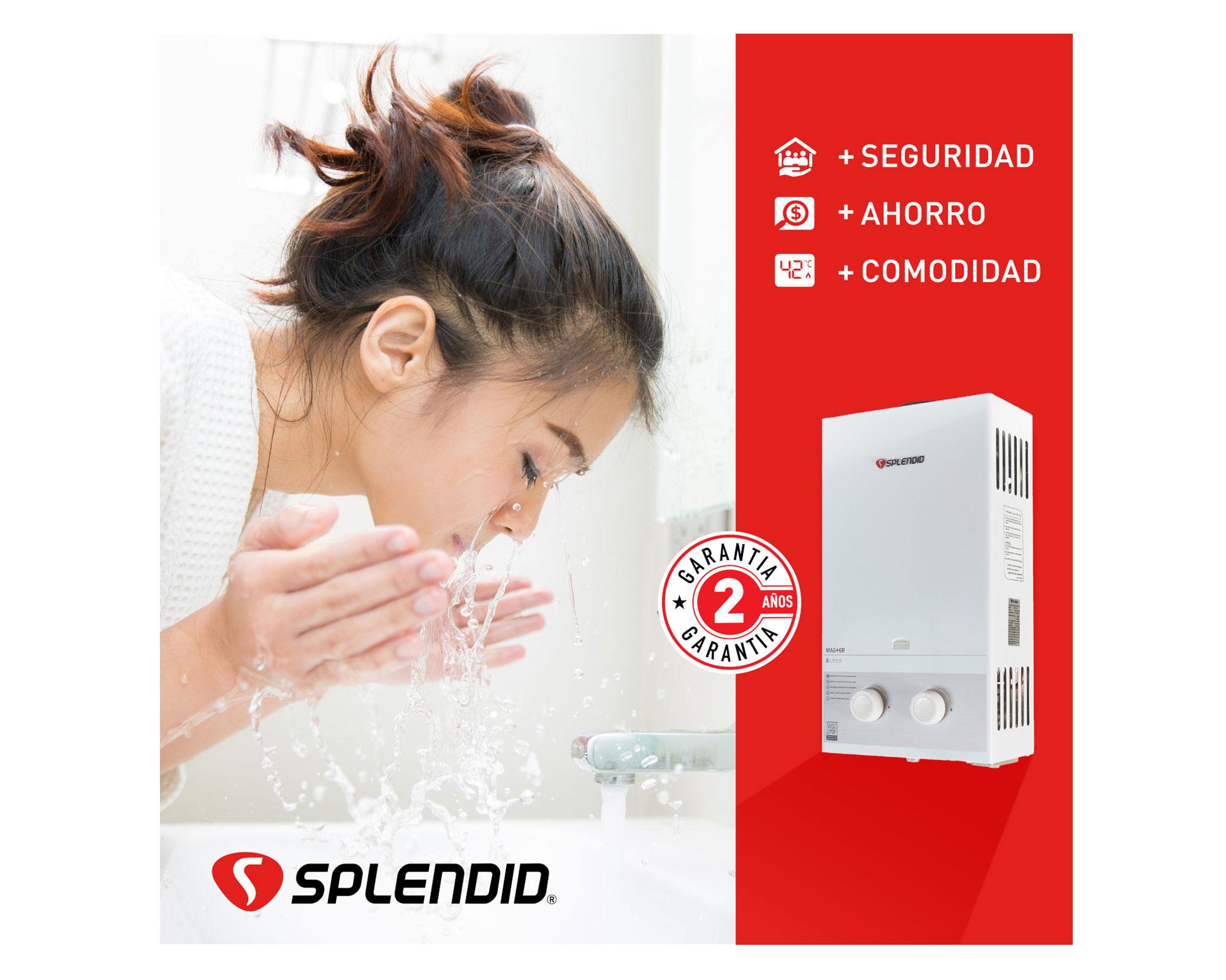 Calefont ionizado tiro natural 8 litros gas natural Master Splendid-2