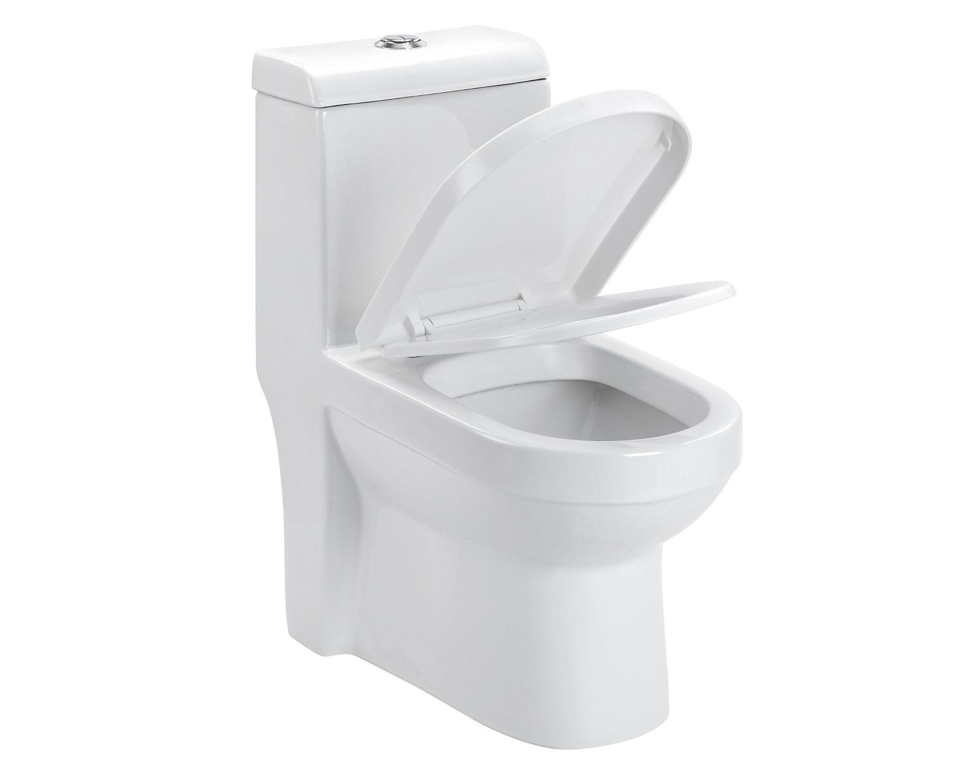 One piece 30 cm Dual flush asiento cierre suave Cala Vessanti-2