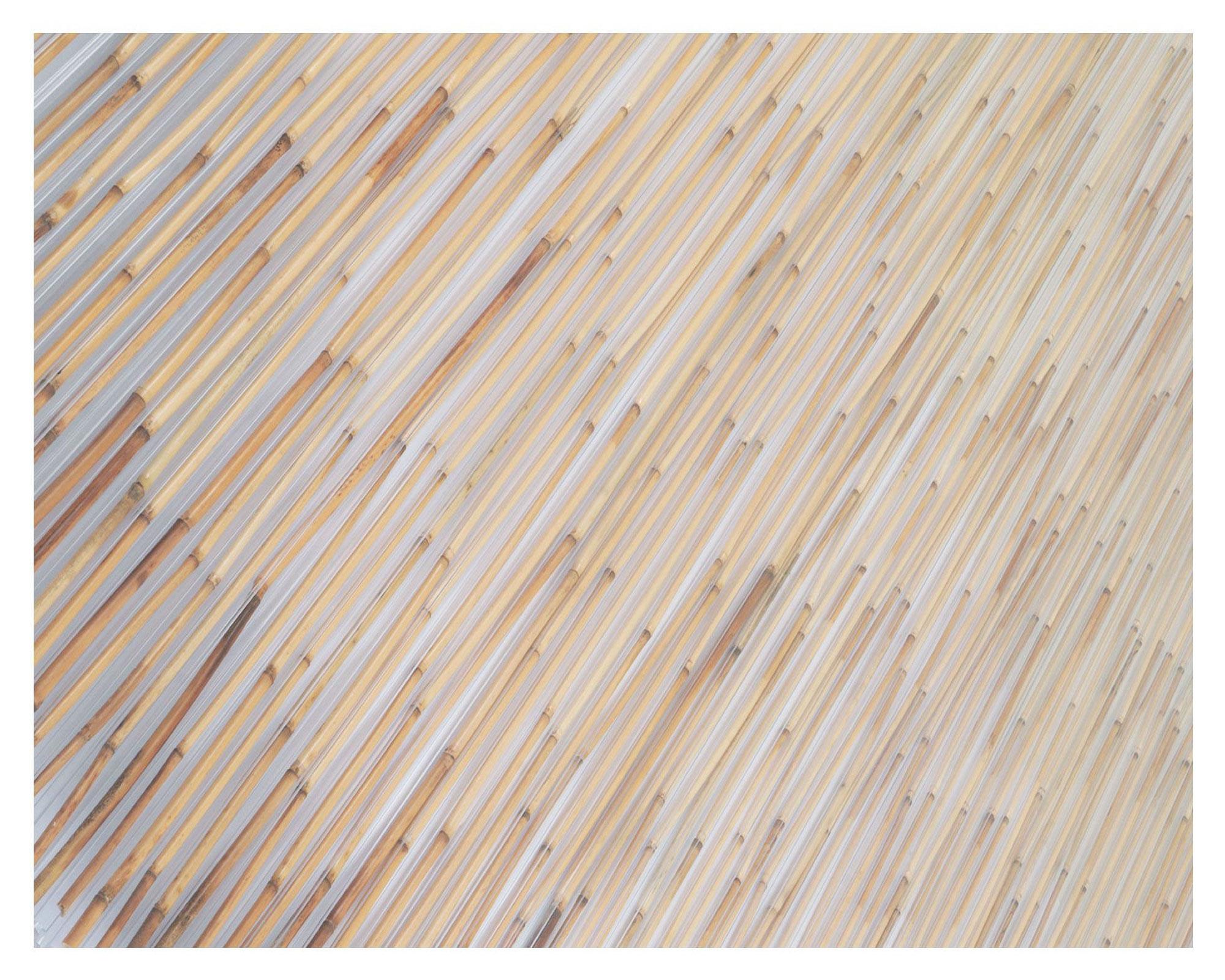 Plancha policarbonato Polibambú 8 mm 100x300 cm-2
