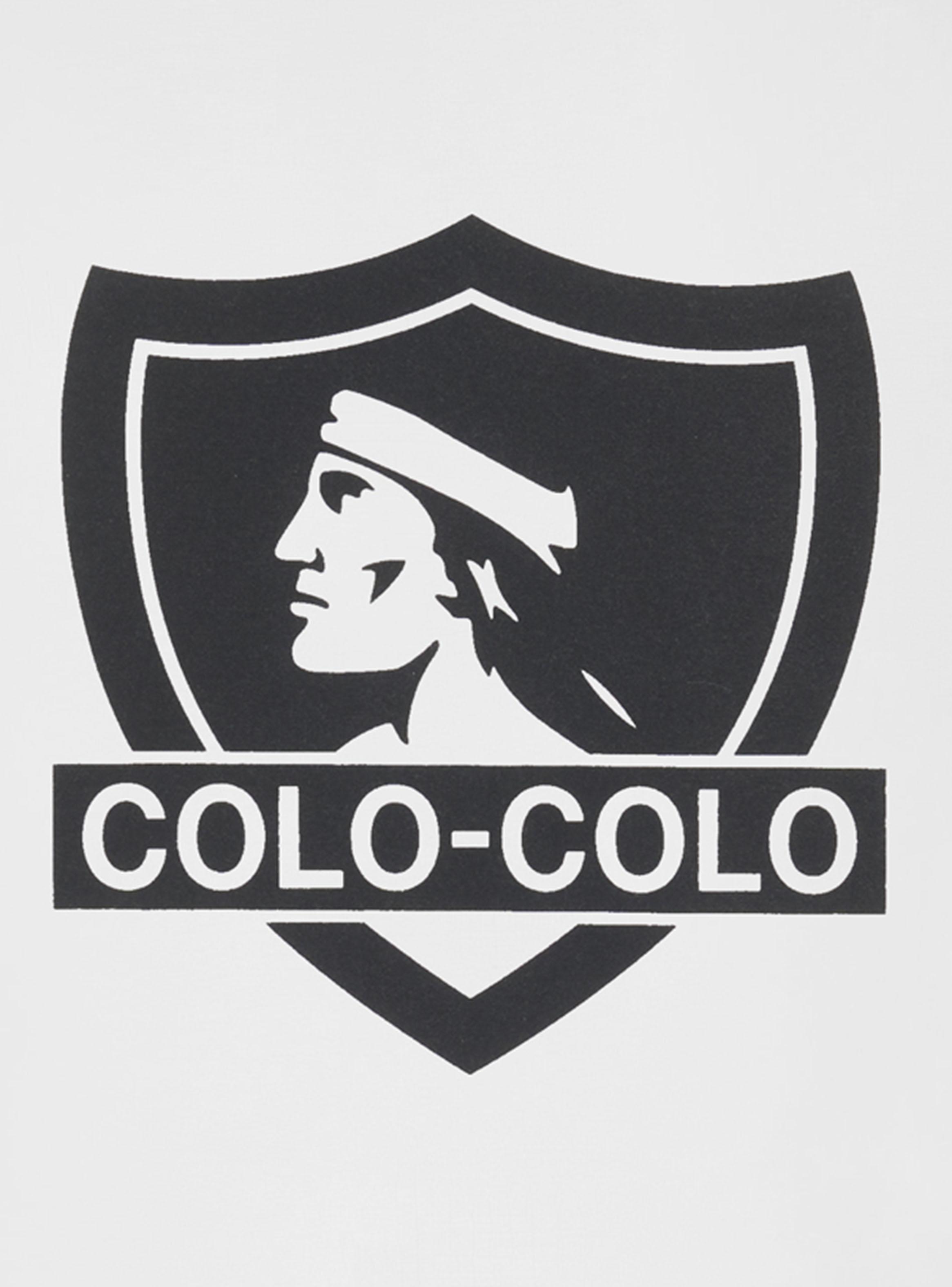 Polera Logo Frontal-2