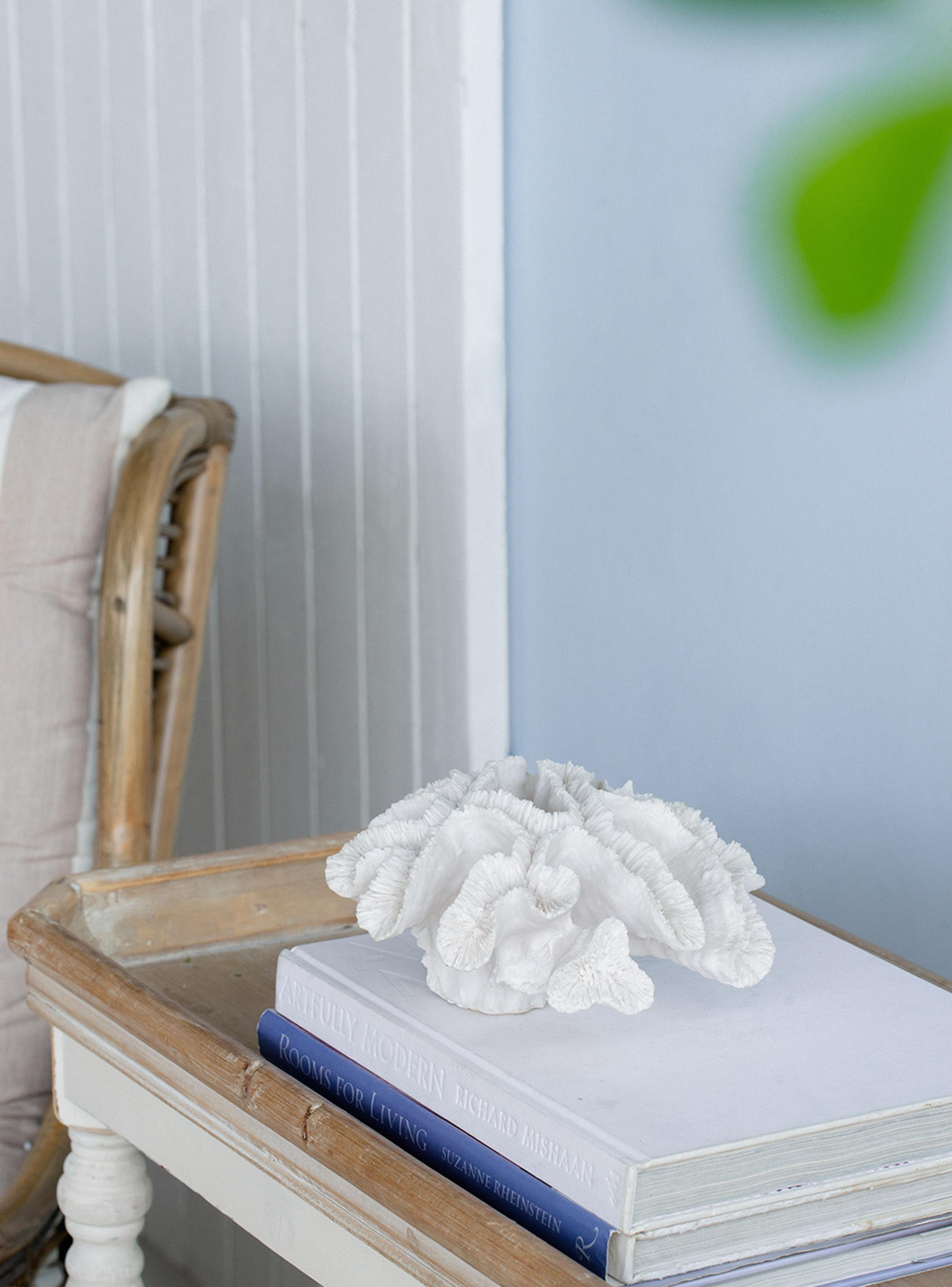 Coral Blanco 23 cm-7