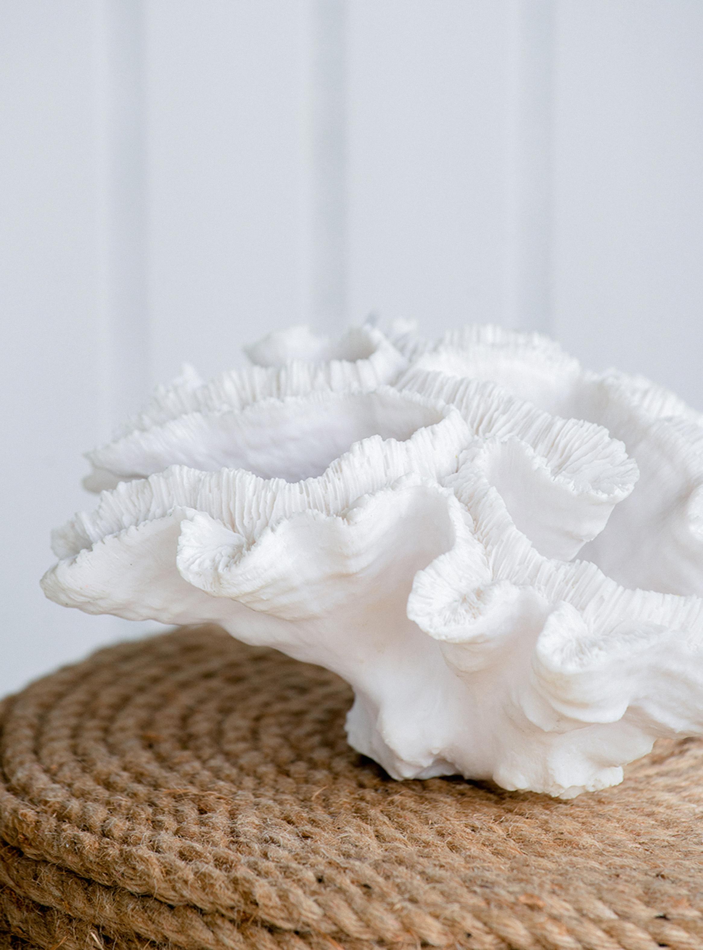 Coral Blanco 23 cm-5