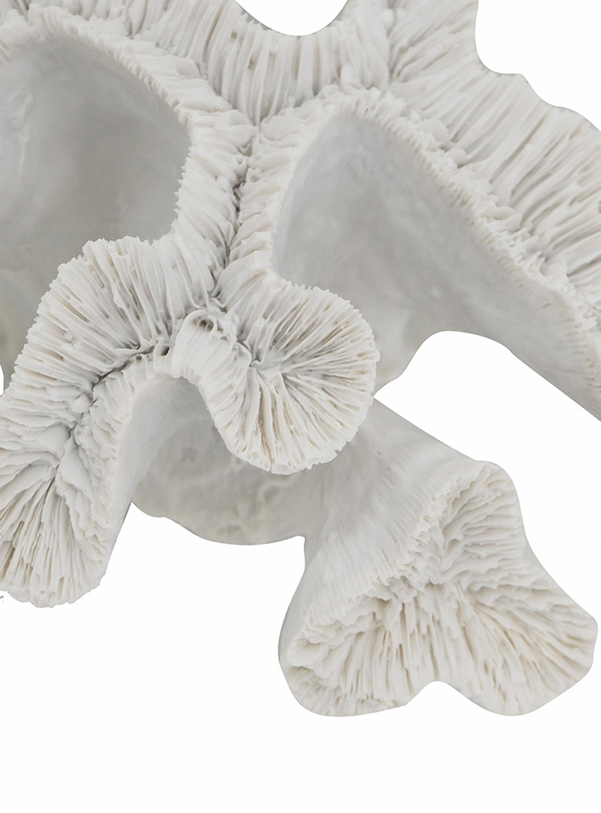 Coral Blanco 23 cm-4