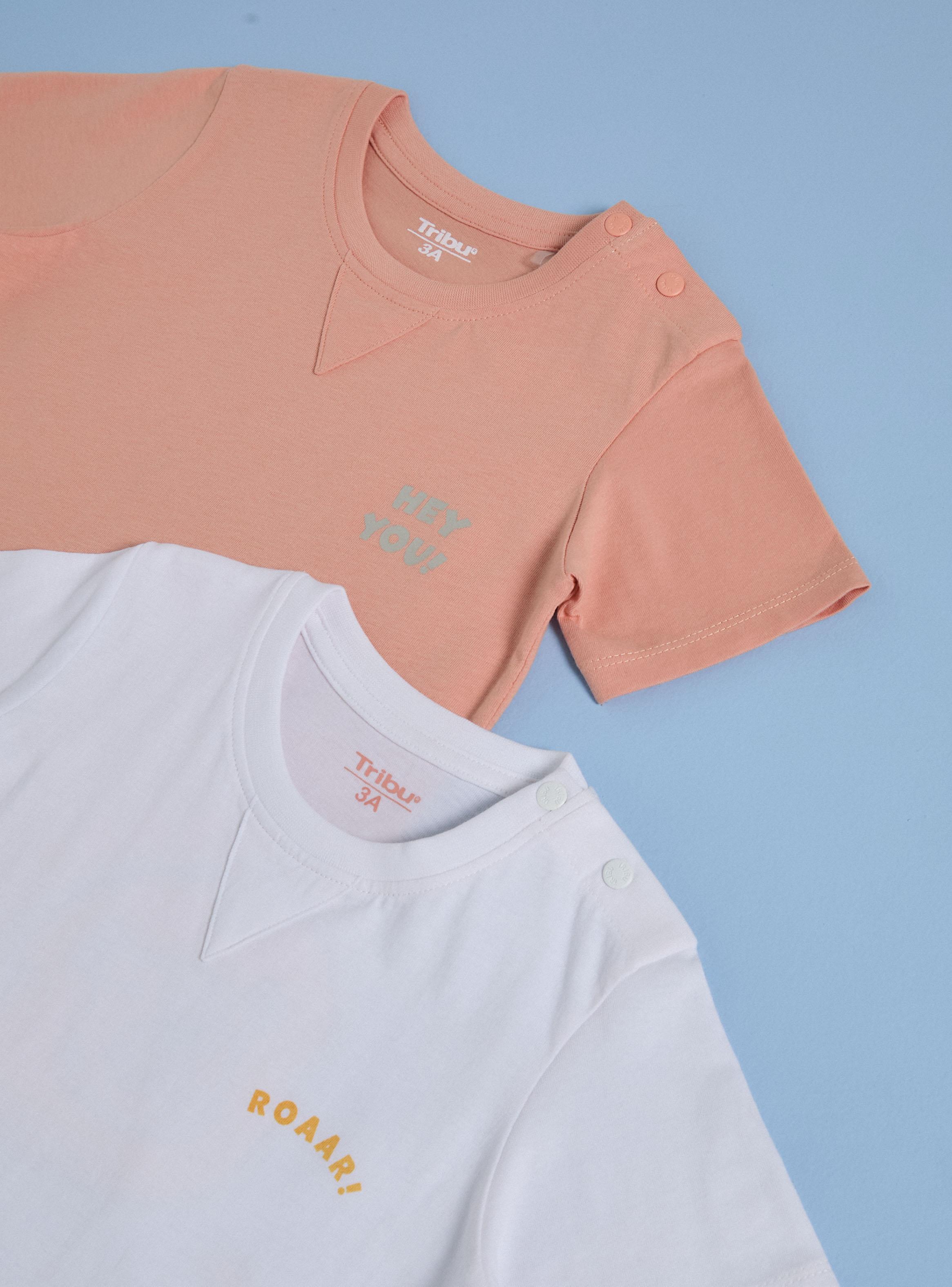 Polera Bipack con Estampado Grande en Espalda Niño-2