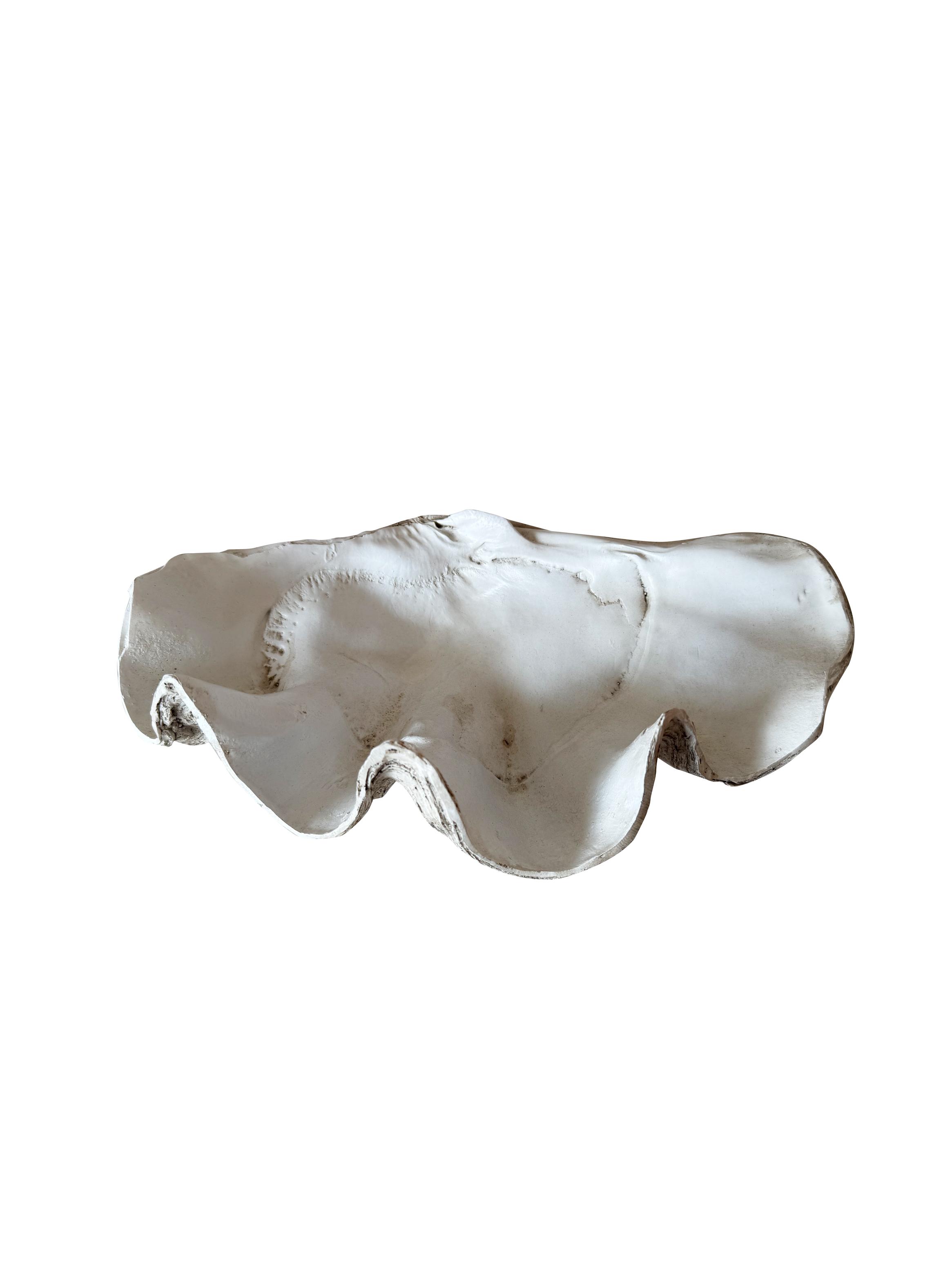 Coral Blanco 41 cm-0