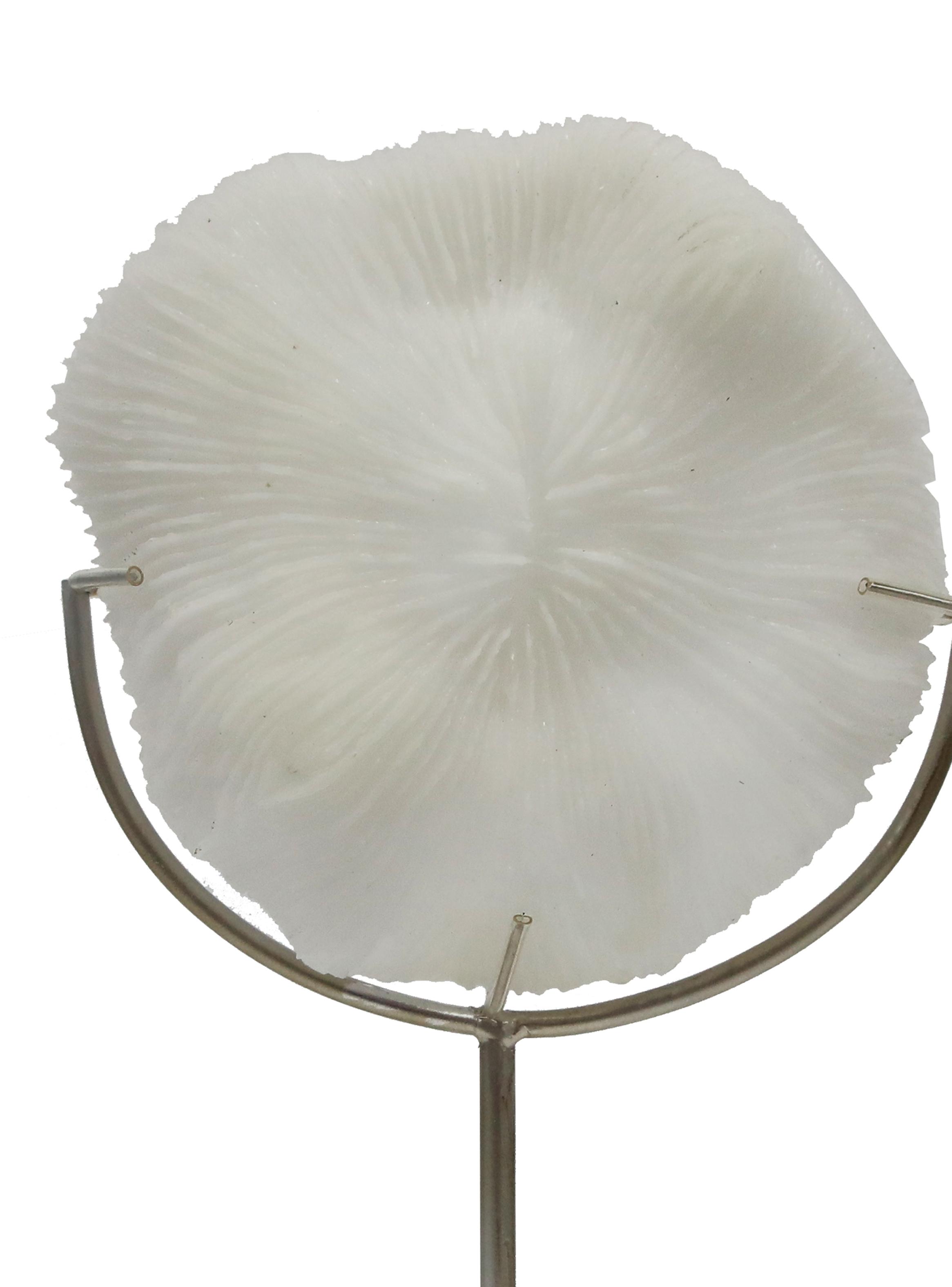 Escultura Blanca Aqua 39 cm-2