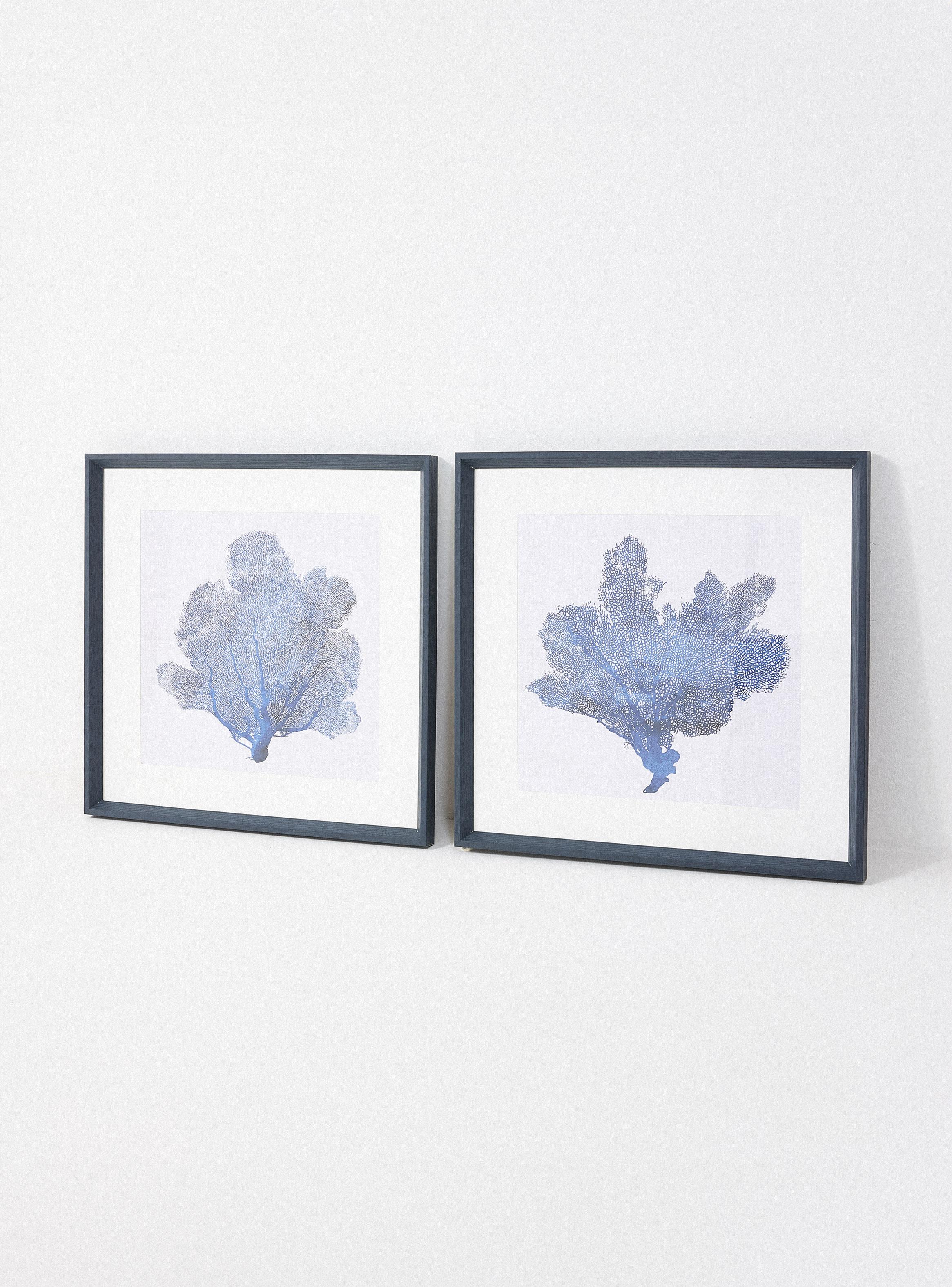 Set de 2 Cuadros Coral 60x60 cm-1