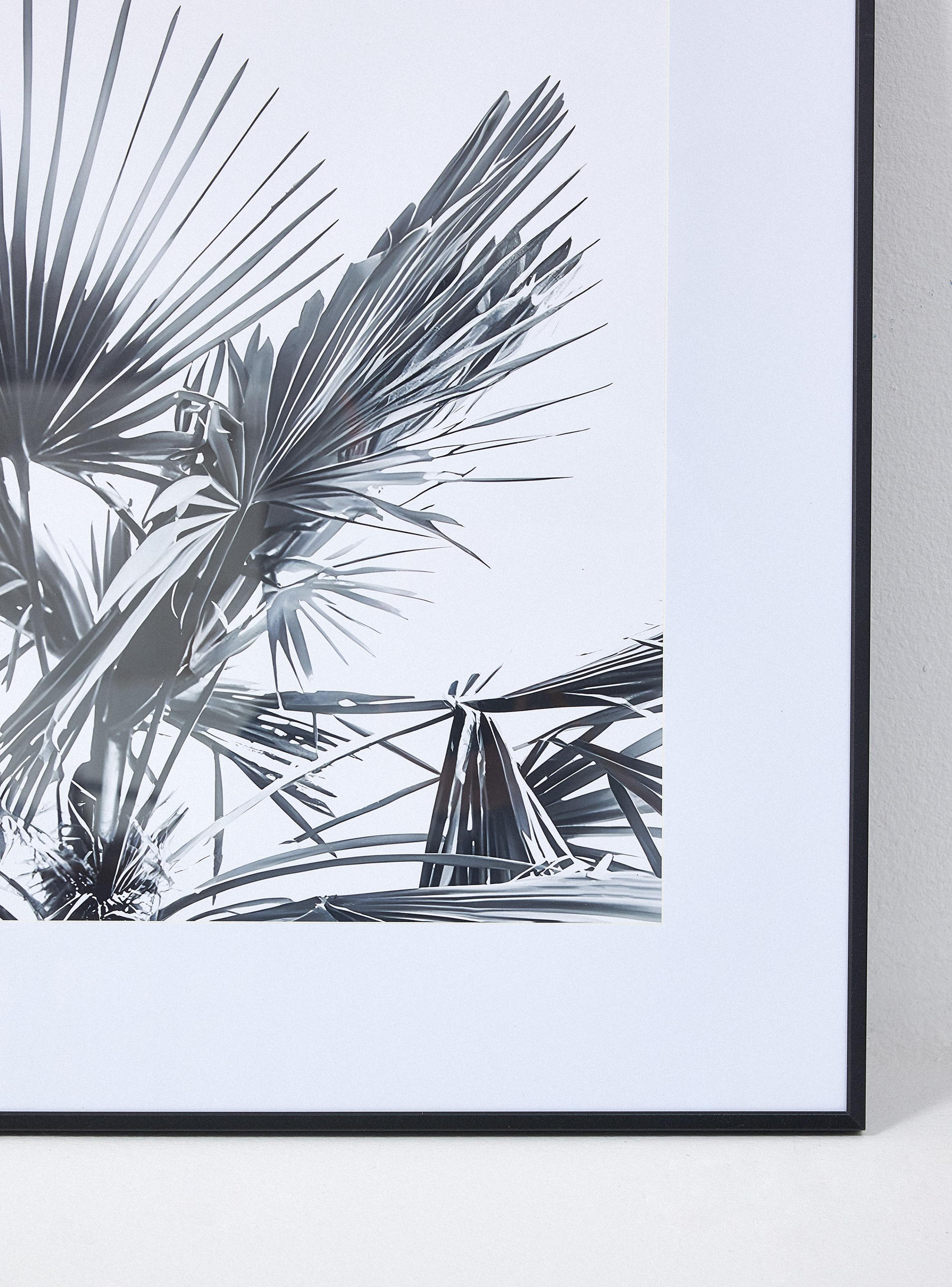 Set de 3 Cuadros Hojas Palm 60x60 cm-2