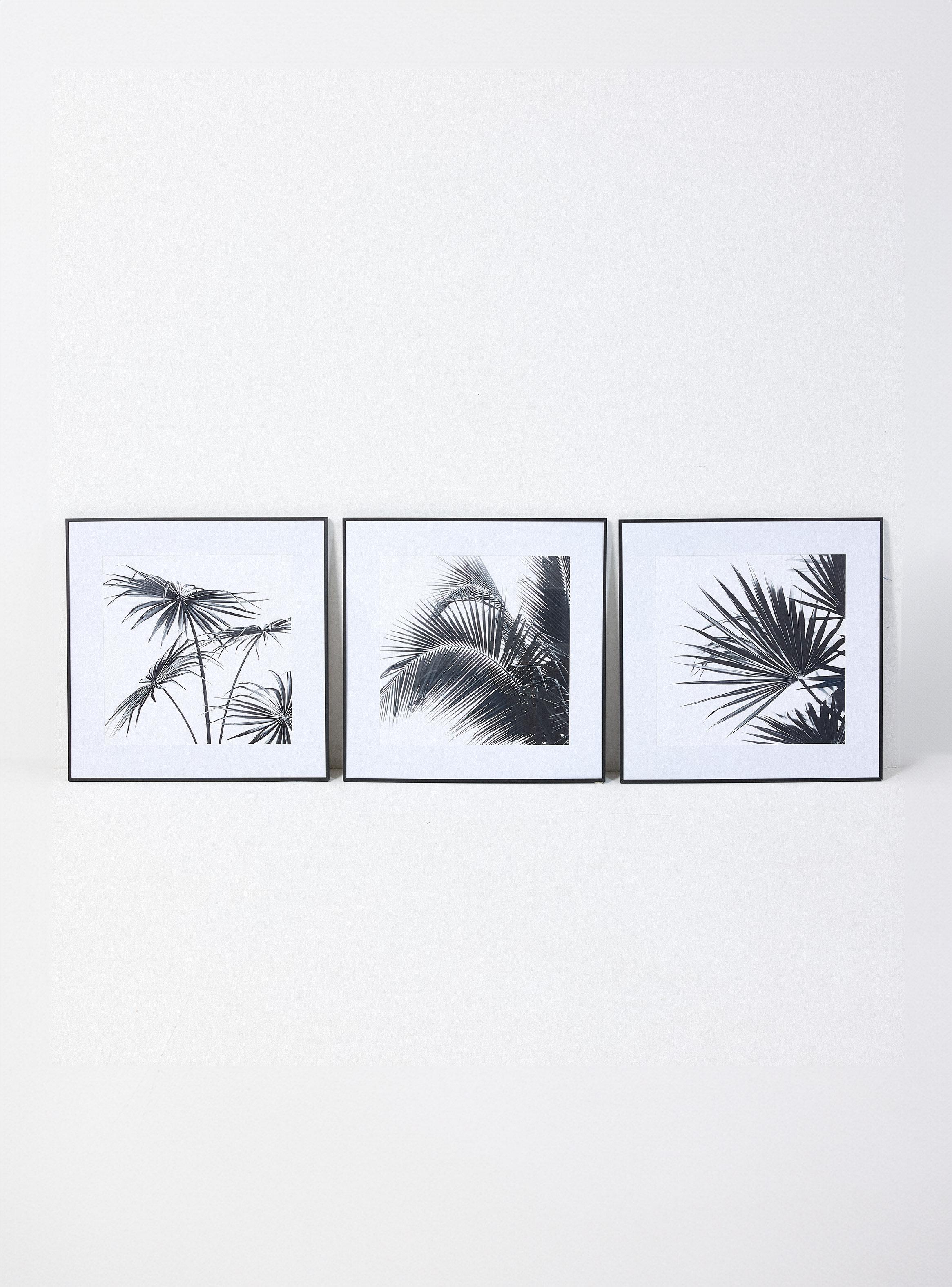 Set de 3 Cuadros Palm 60x60 cm-0