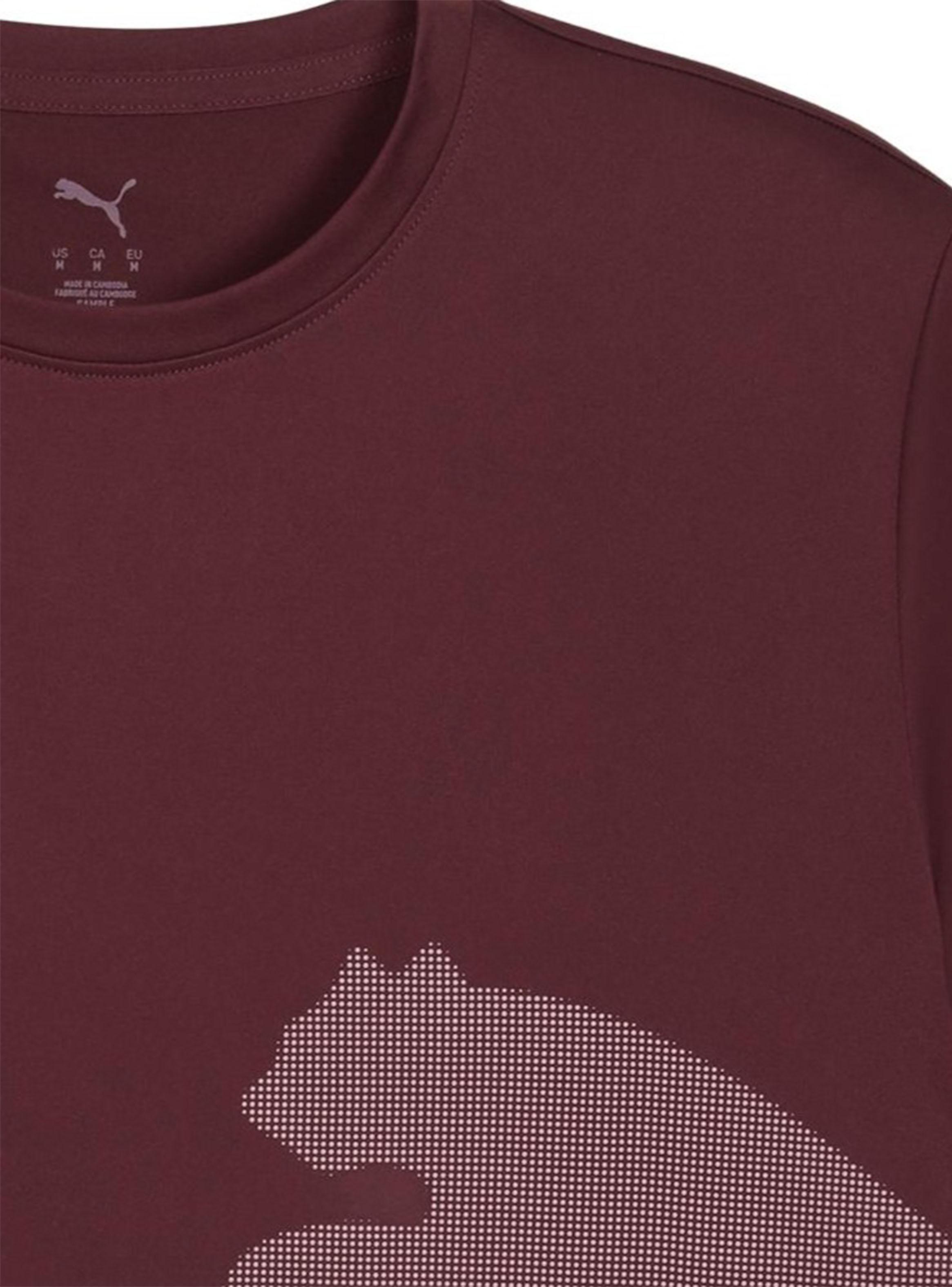 Polera Tad- Big Logo Tee-2
