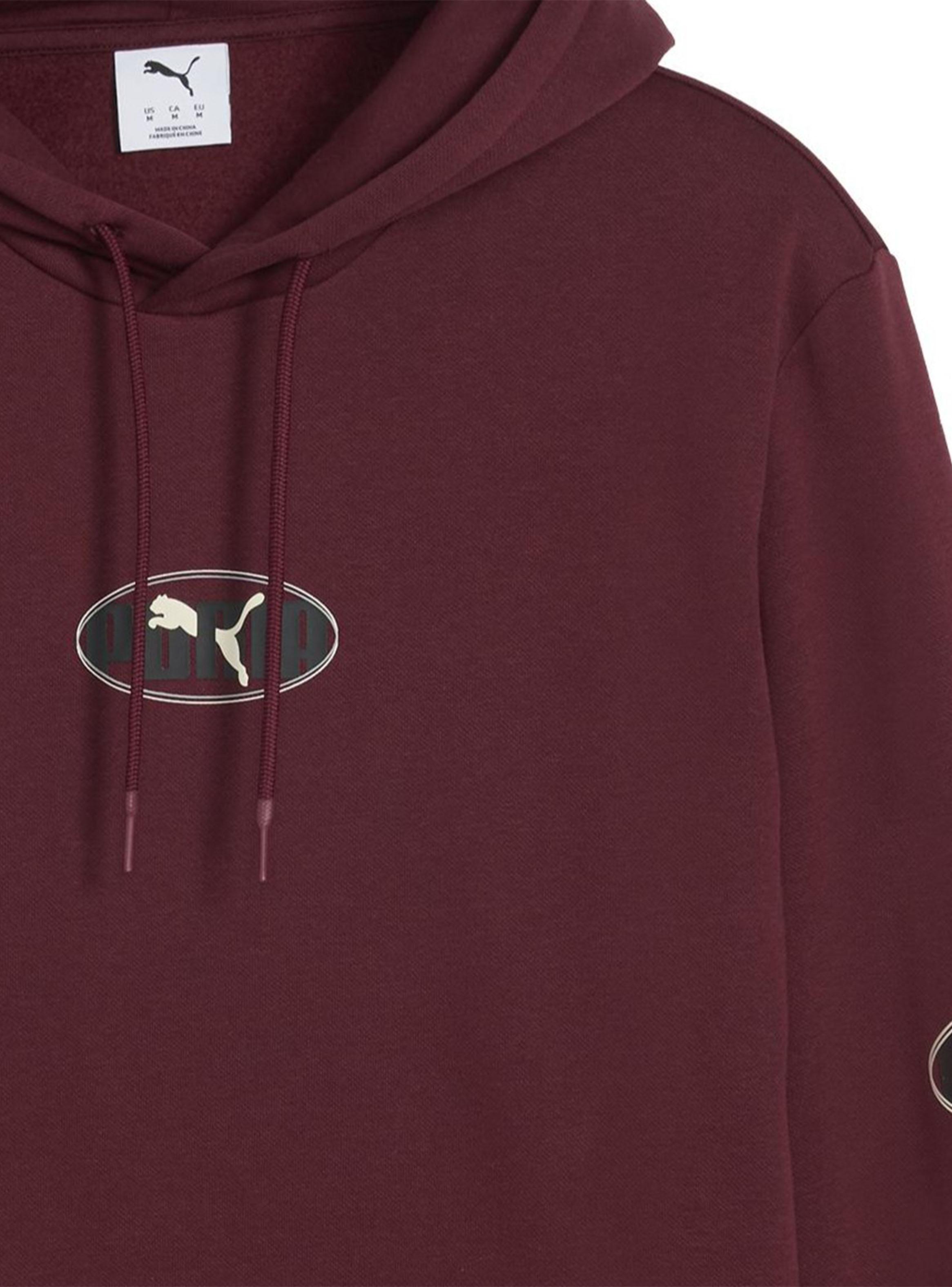 Polerón Ess Logo Lab- Execution Hoodie Fl-2