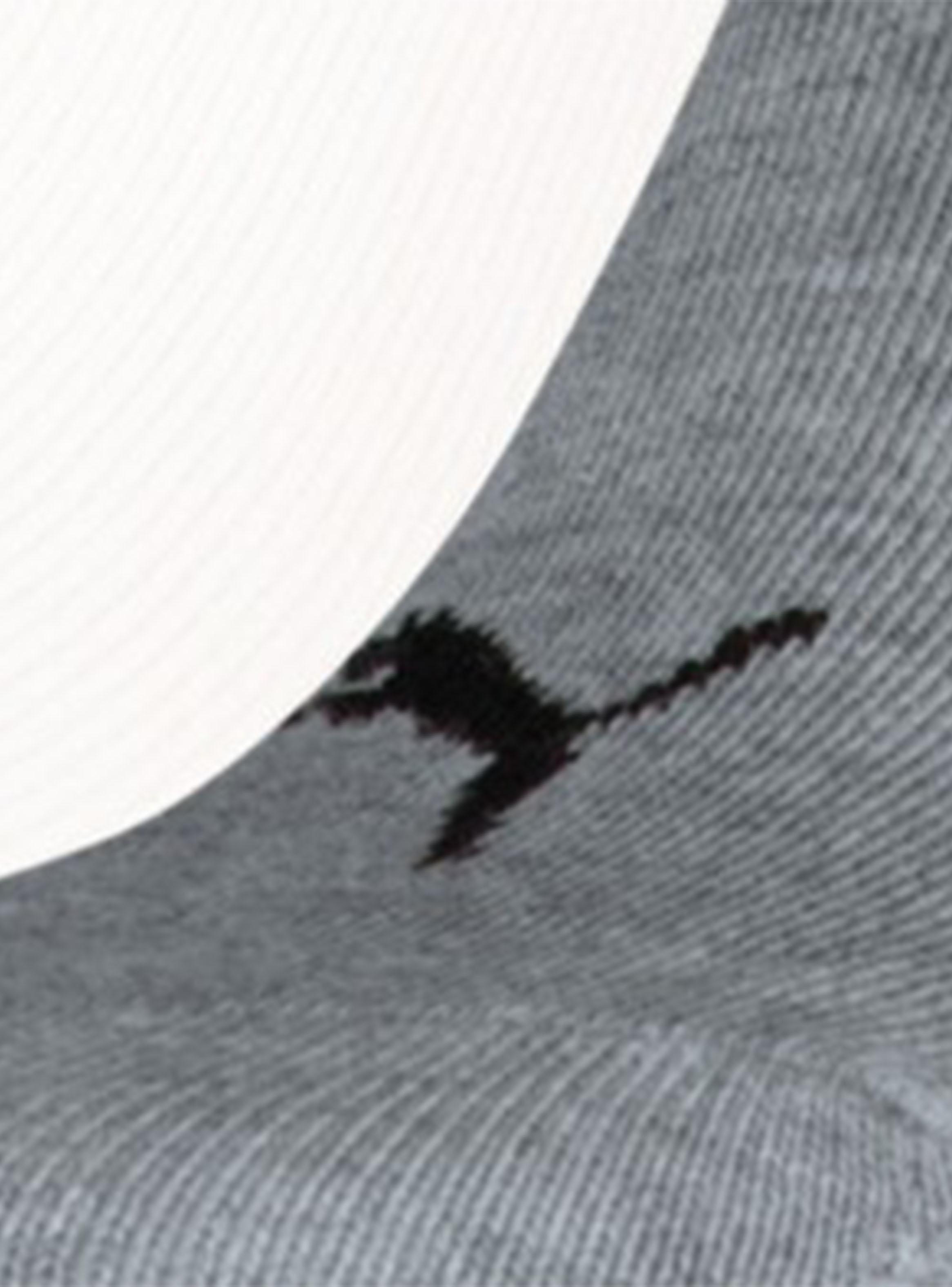 Calcetín Surtido Unisex Sneaker Plain 3P-2