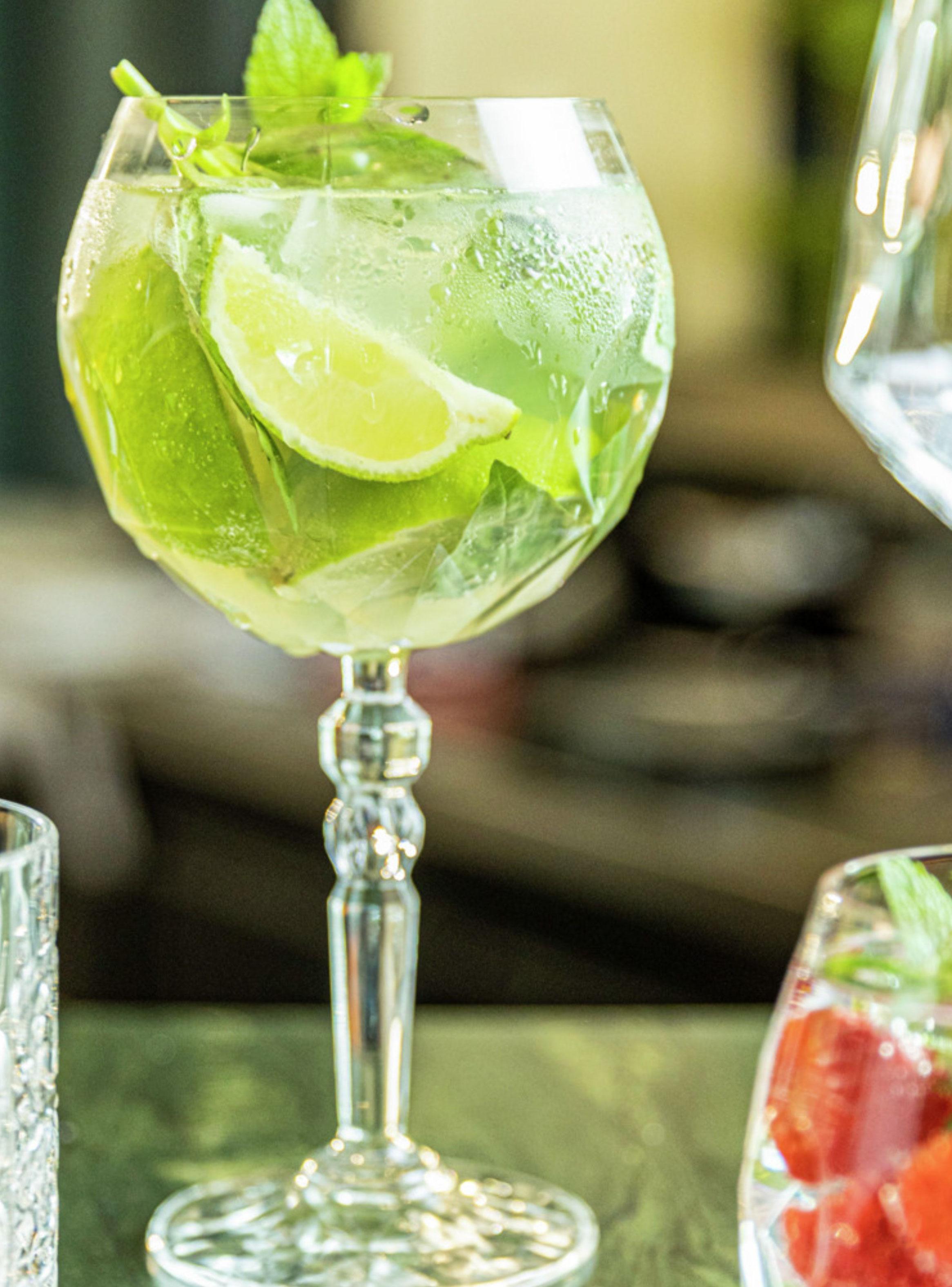 Set de 6 Copas Alkemist Gin 580 ml-2