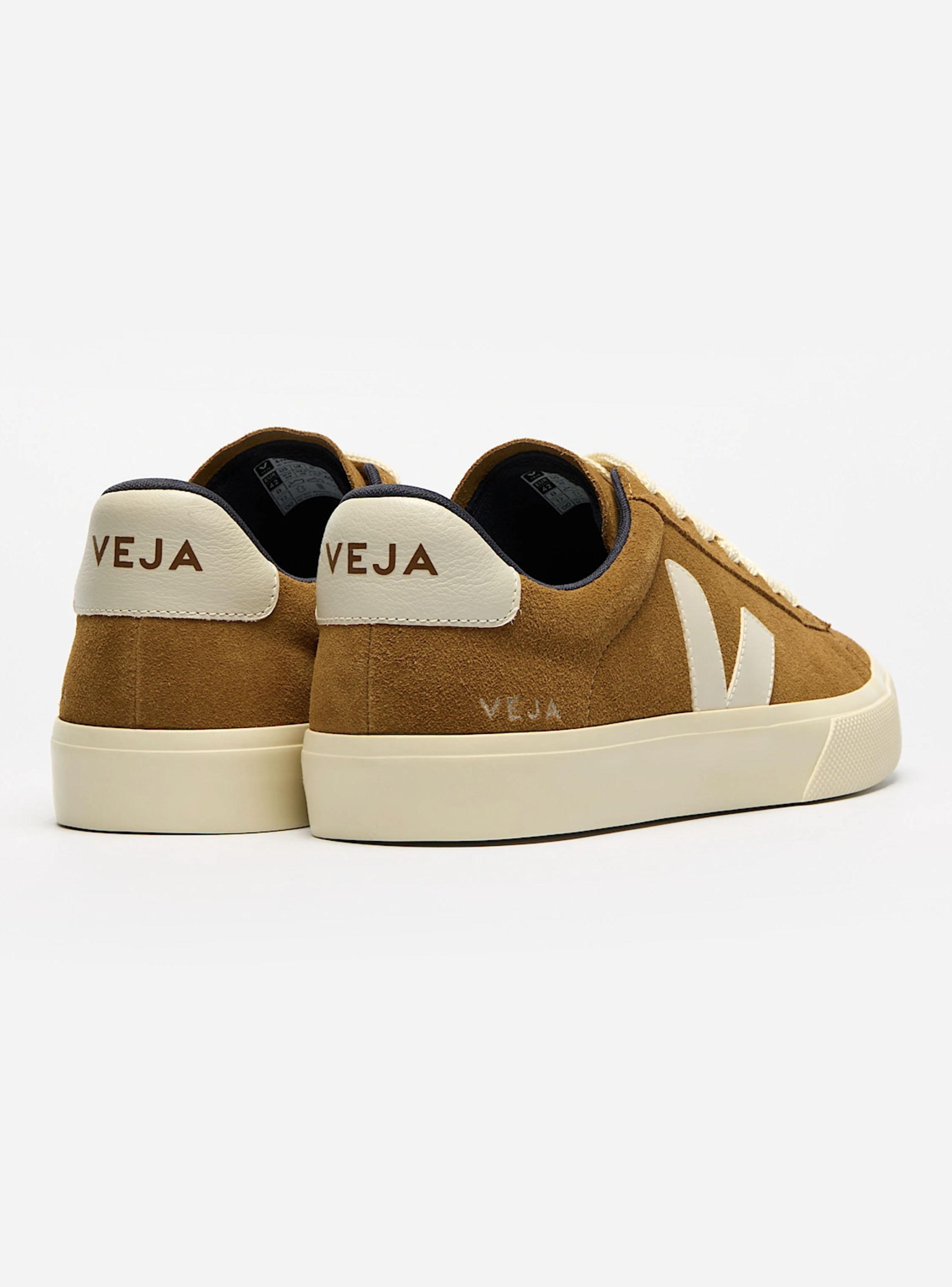 Zapatilla Urbana Gamuza Campo Bold Pierre Hombre-2