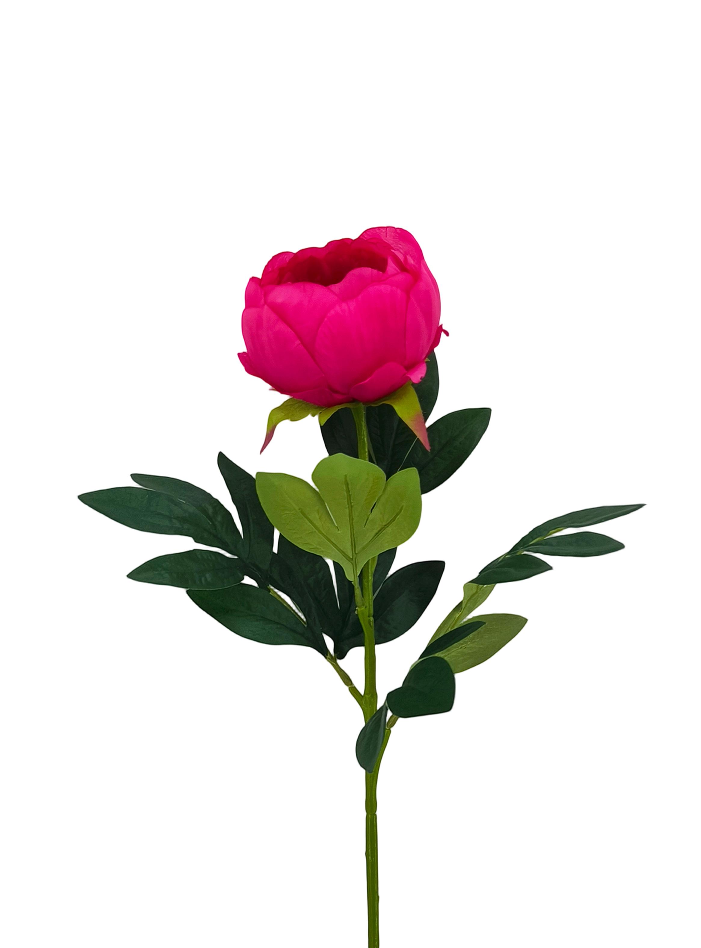 Set de 2 Peonías 75 cm Fucsia-2