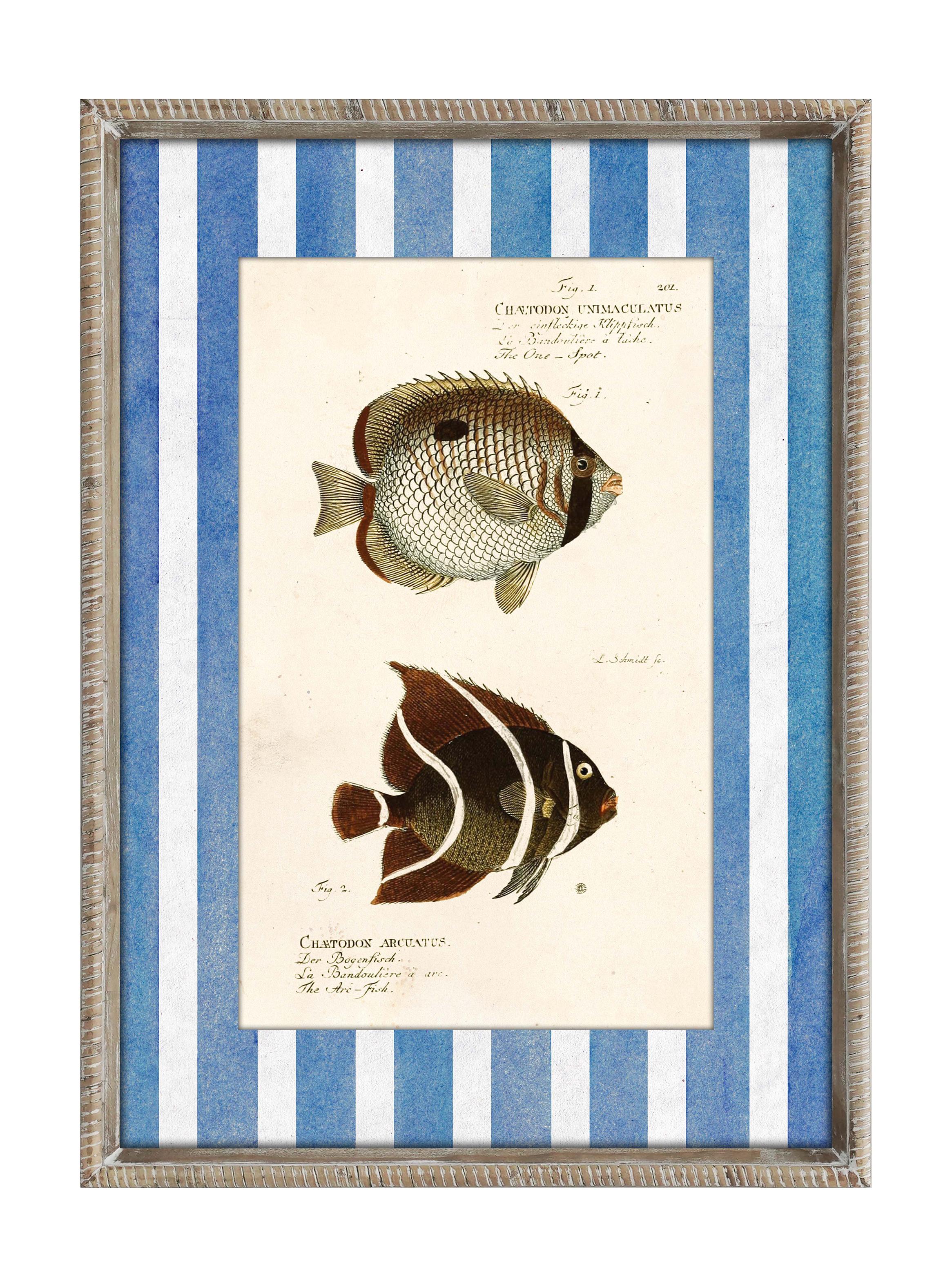 Set de 2 Cuadros Peces 1-2