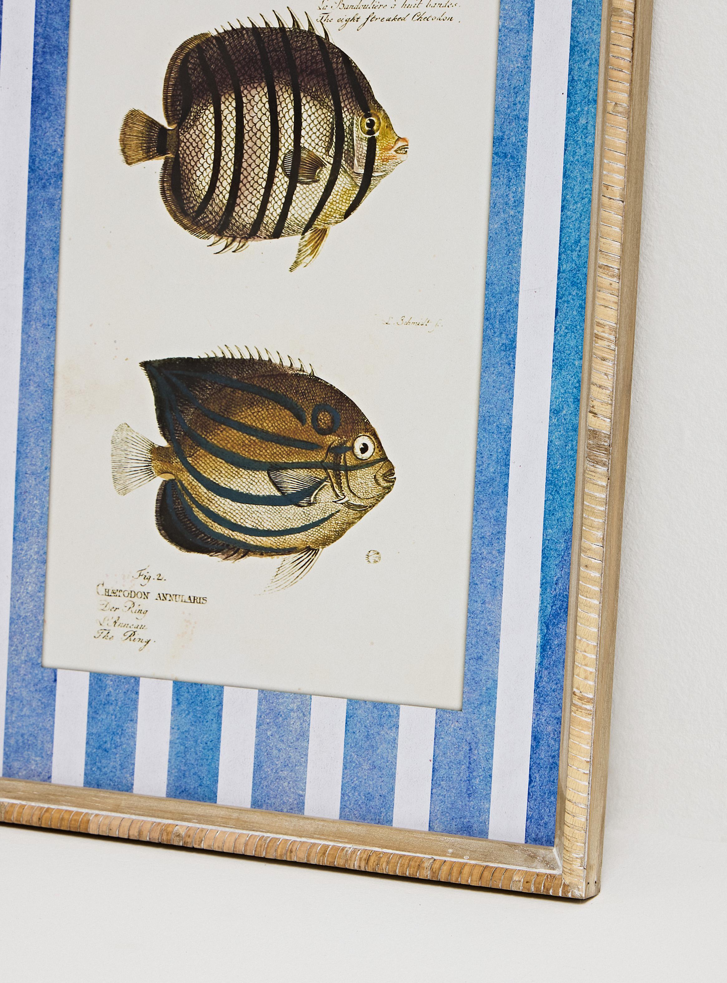 Set de 2 Cuadros Peces 1-2